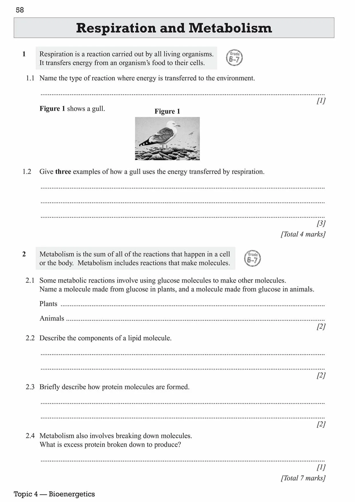 New GCSE Biology AQA Higher Exam Practice Workbook with CGP RevisionHub