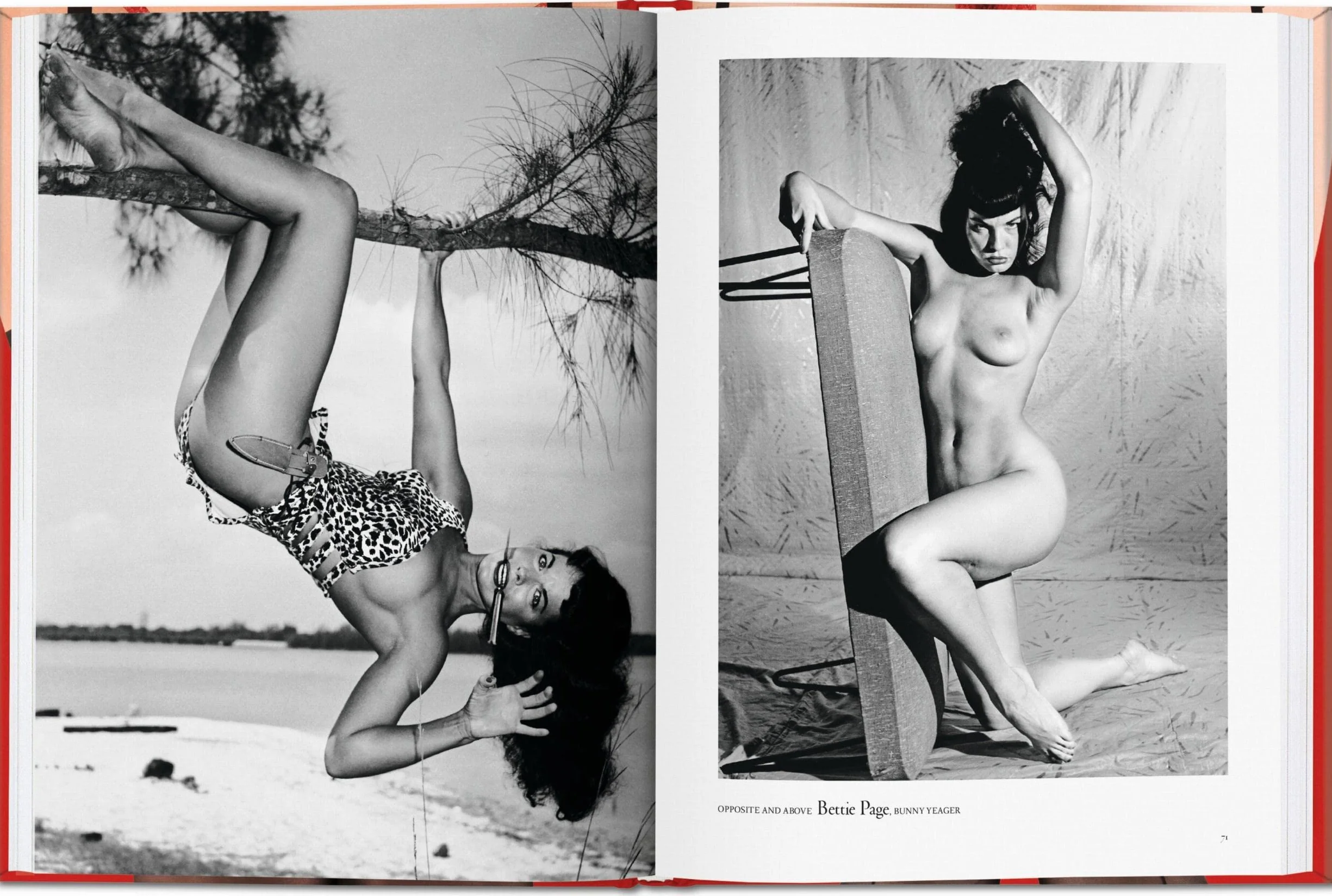 The Little Big Book of Legs: Great Gams in a Petite Package