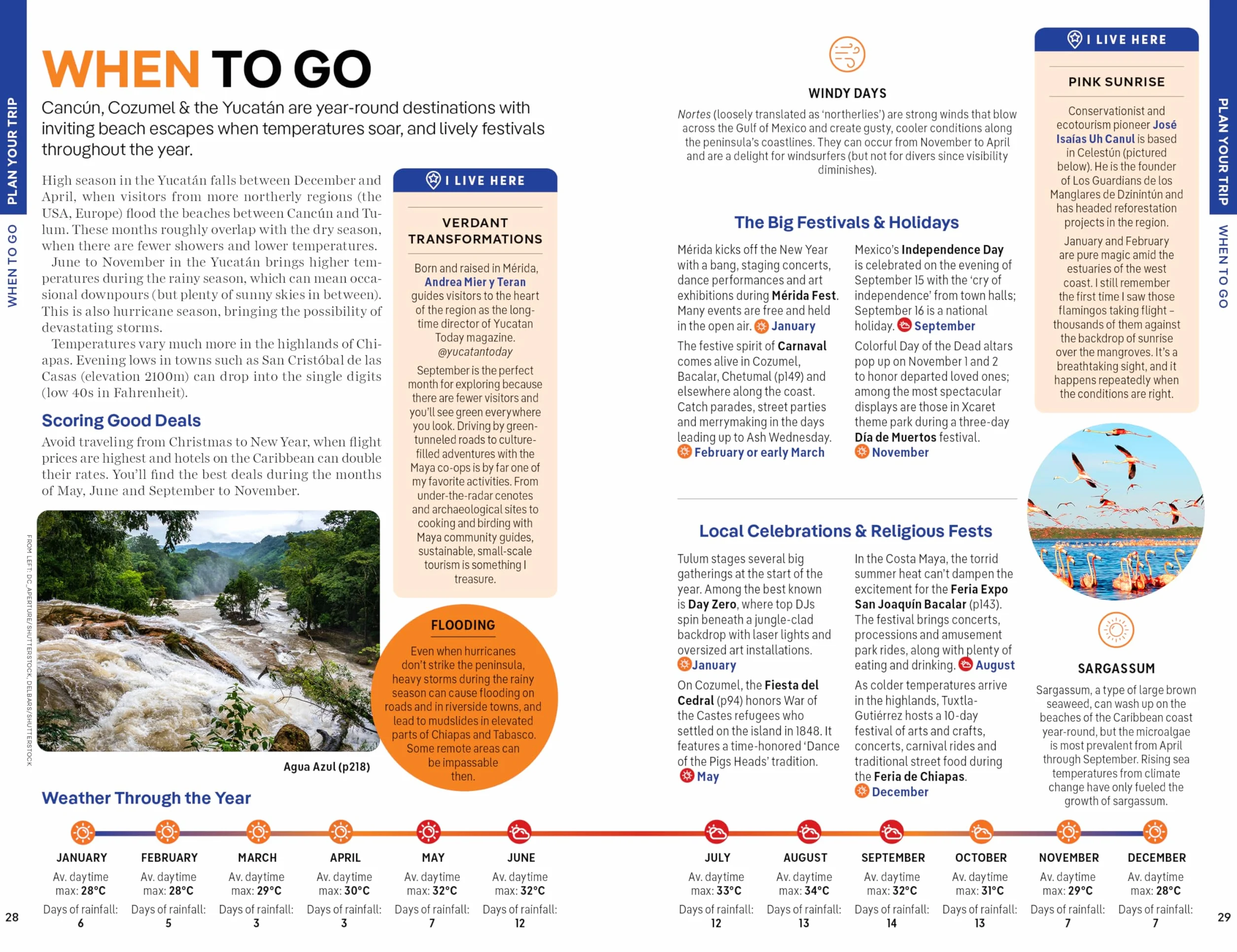 Cancun, Cozumel & the Yucatan 11ed -anglais-: Plan the Trip of a Lifetime | Detailed Itineraries & Maps | Insider Tips | Covers Hidden Shipwrecks, Crocodiles, Folk Art and more