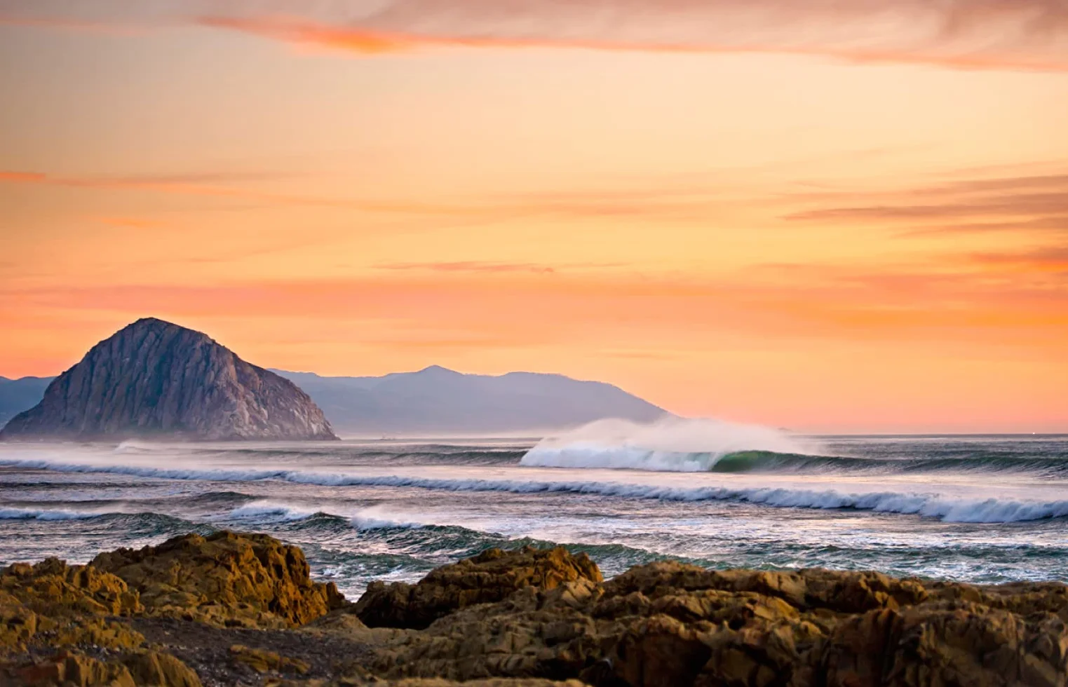 Shots of Adventure: Mein Leben zwischen Surfbrett und Kamera