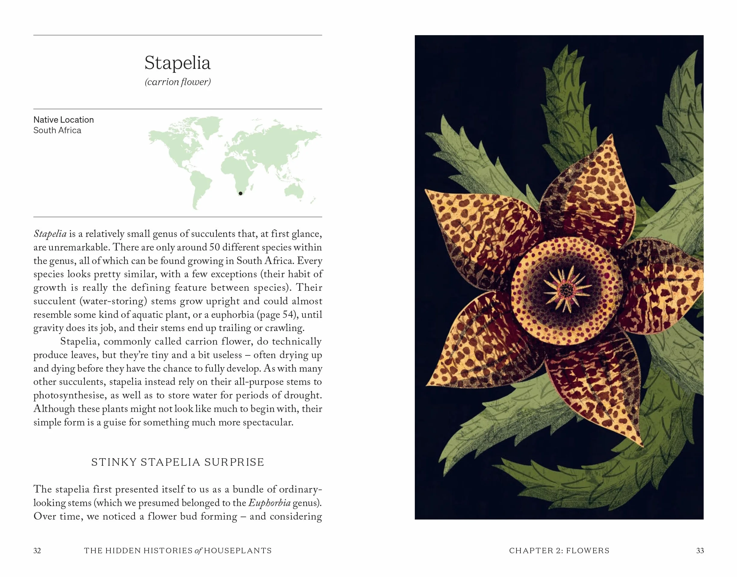 The Hidden Histories of Houseplants: Fascinating Stories of Our Most-Loved Houseplants