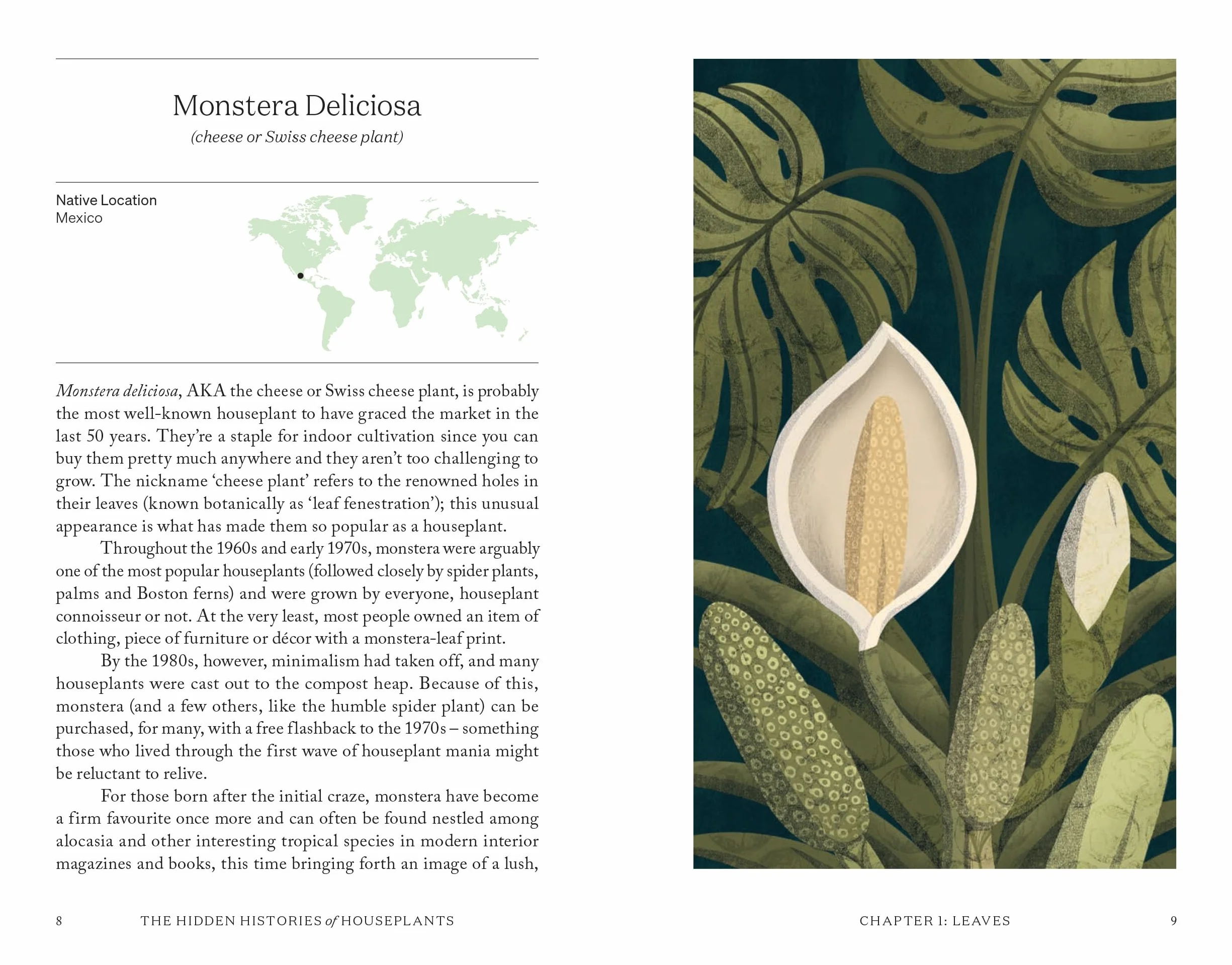 The Hidden Histories of Houseplants: Fascinating Stories of Our Most-Loved Houseplants