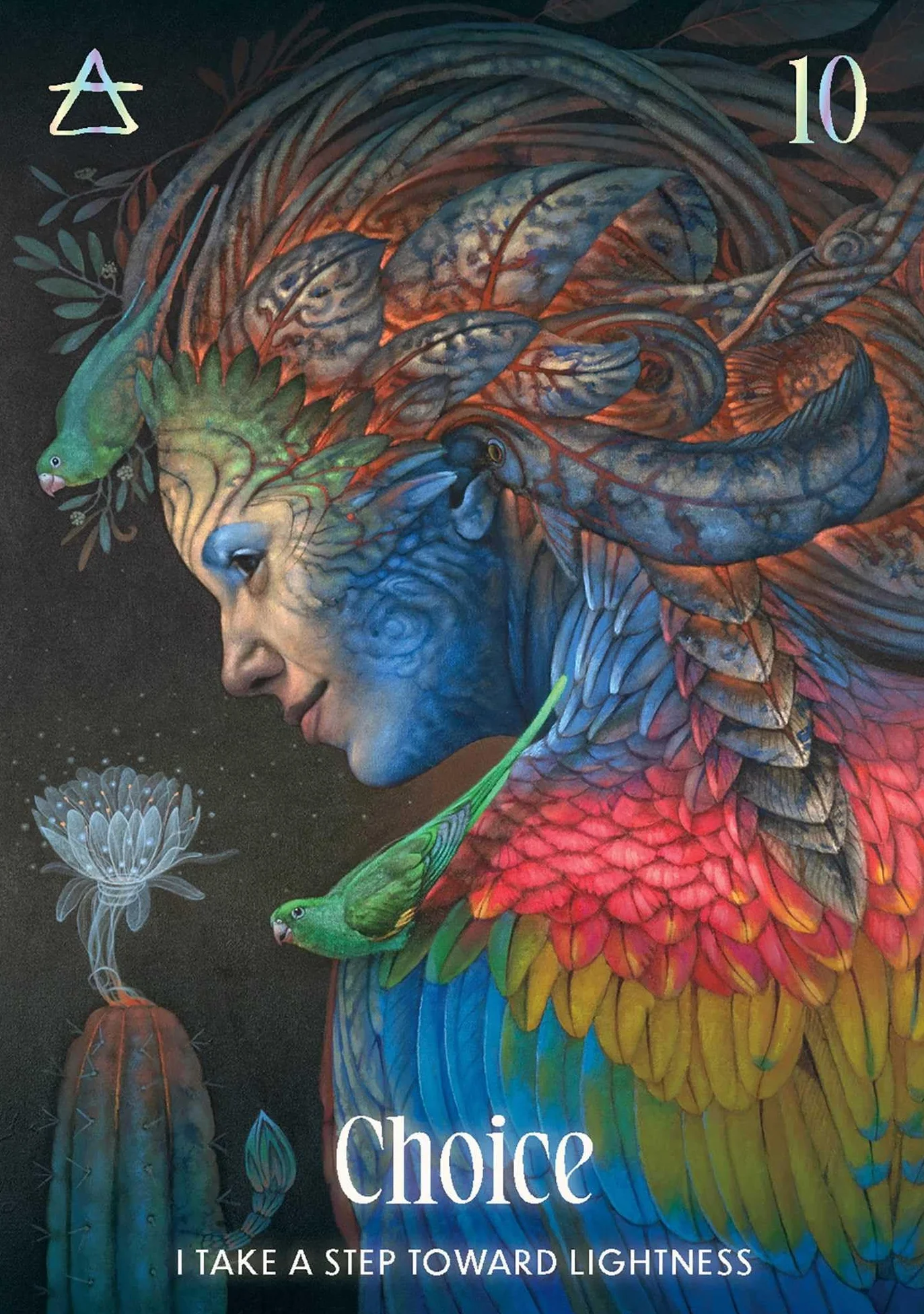 Shamanic Oracle: Connect to the medicine of the earth