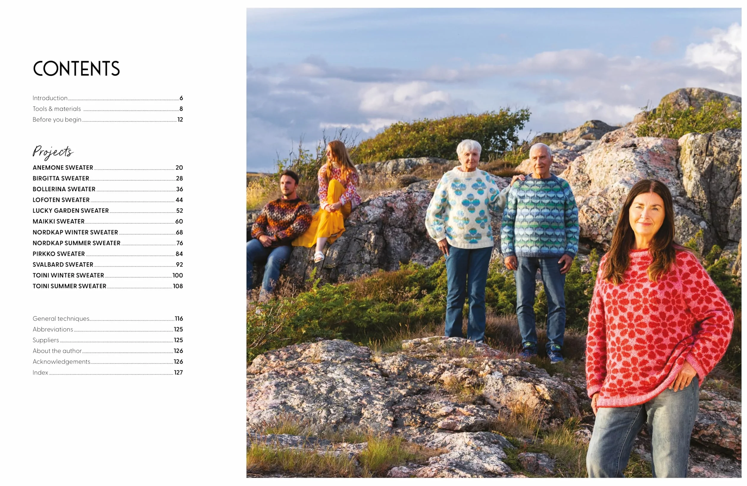 Knit Modern Scandi Sweaters: Knitting Patterns for Bright and Beautiful Nordic Knits