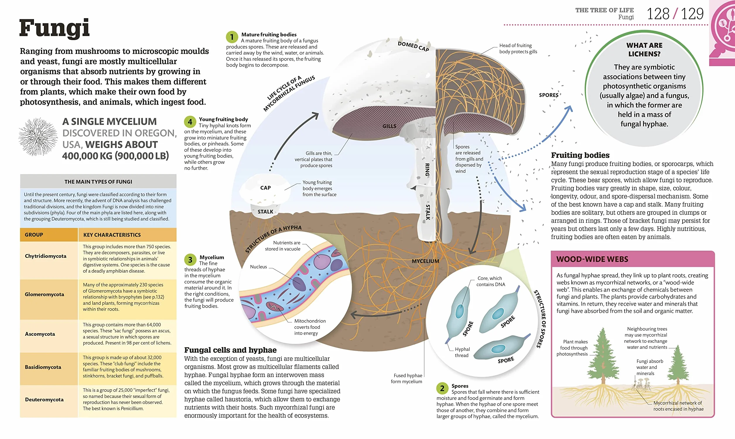 How Biology Works: The Facts Visually Explained
