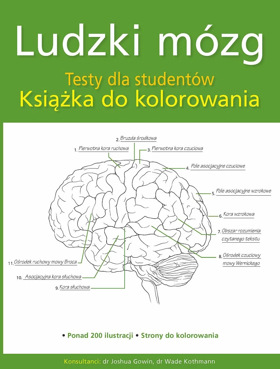 Ludzki mózg. Testy dla studentów. Książka do kolorowania