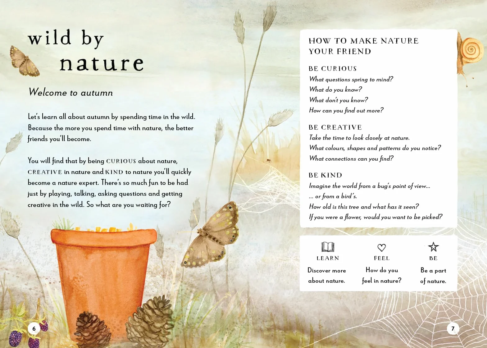 A Field Guide to Autumn: Play and Learn in Nature: 2