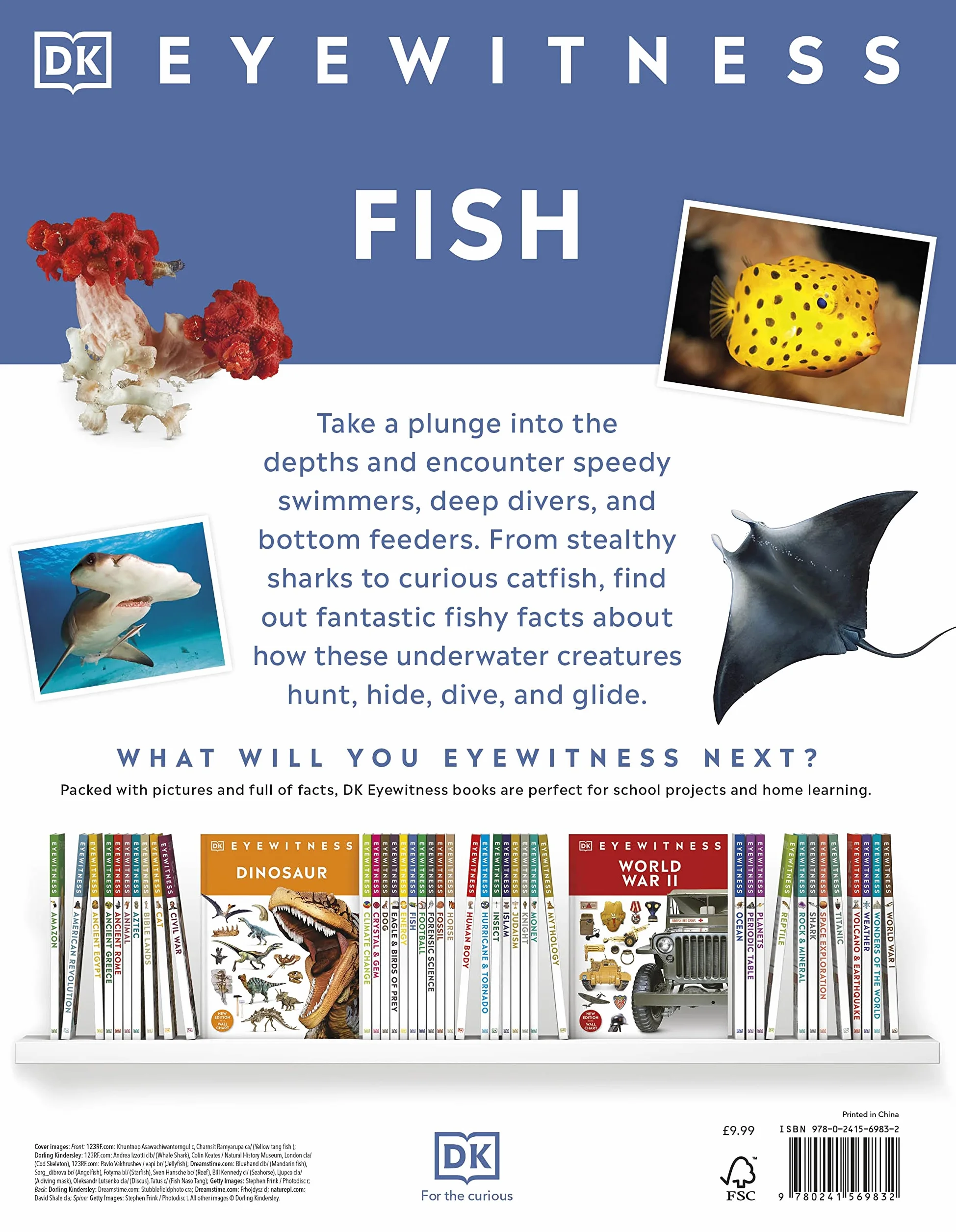 Fish: DK Eyewitness