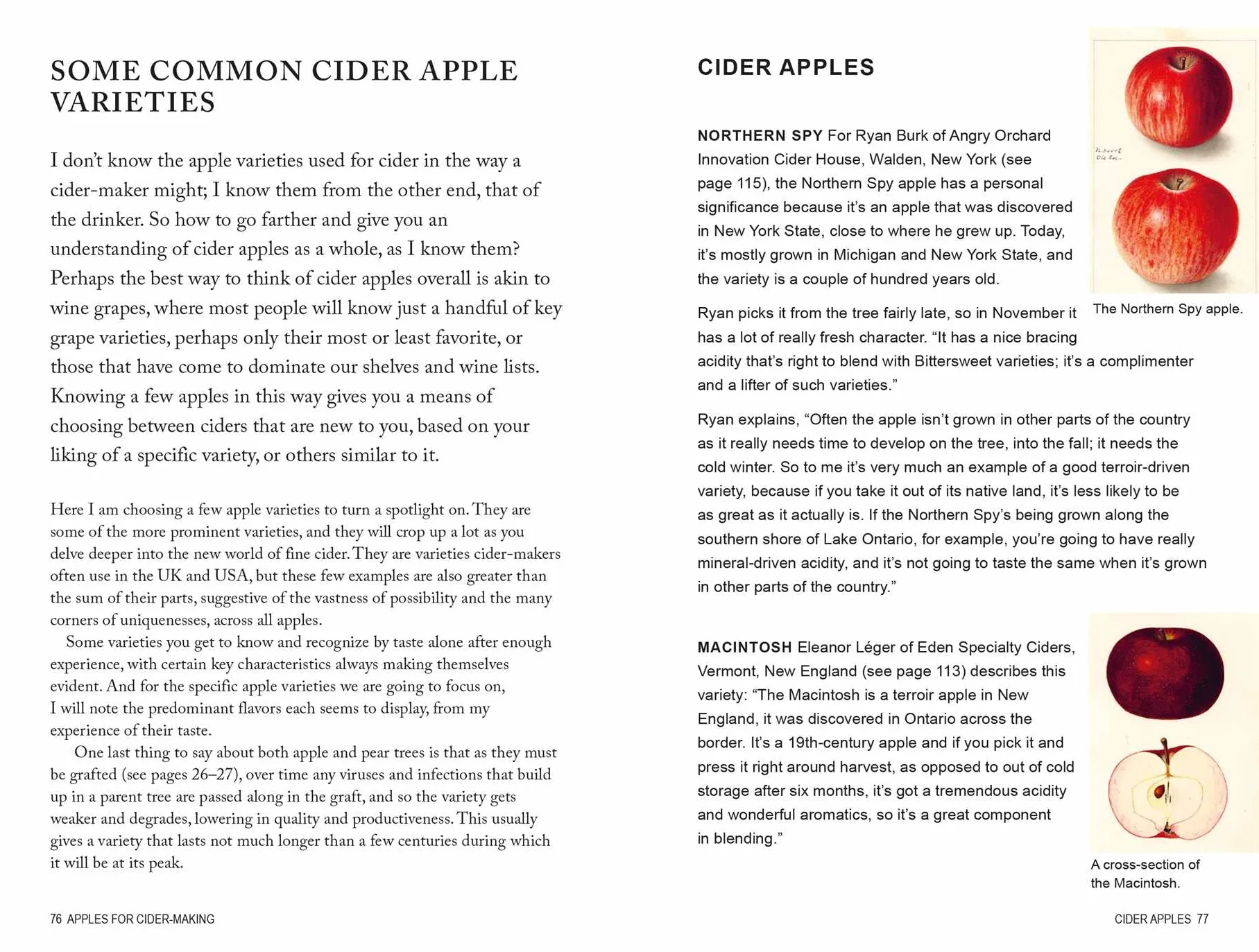 Cider: Understanding the World of Natural, Fine Cider