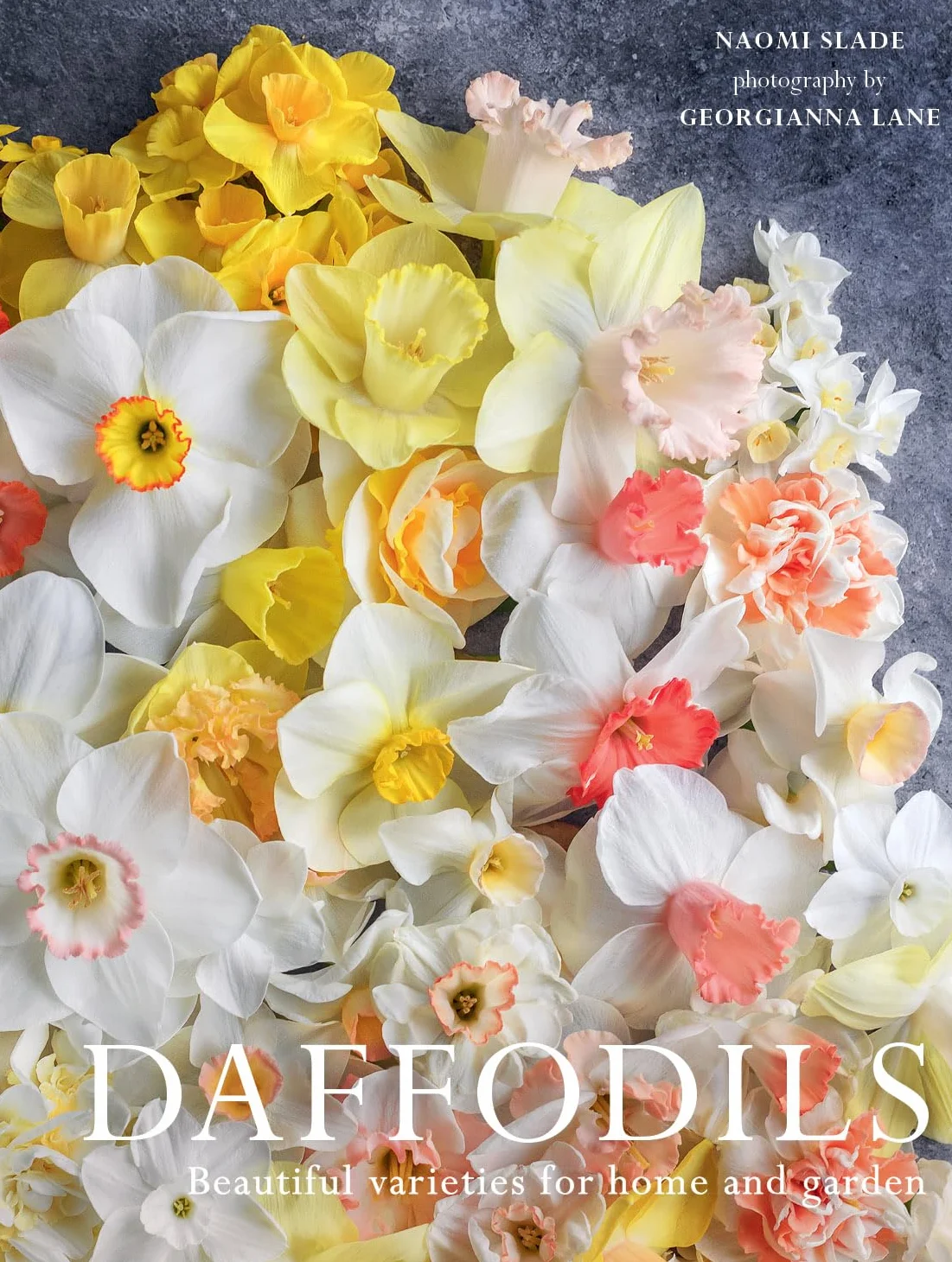 Daffodils: Beautiful Varieties for Home and Garden