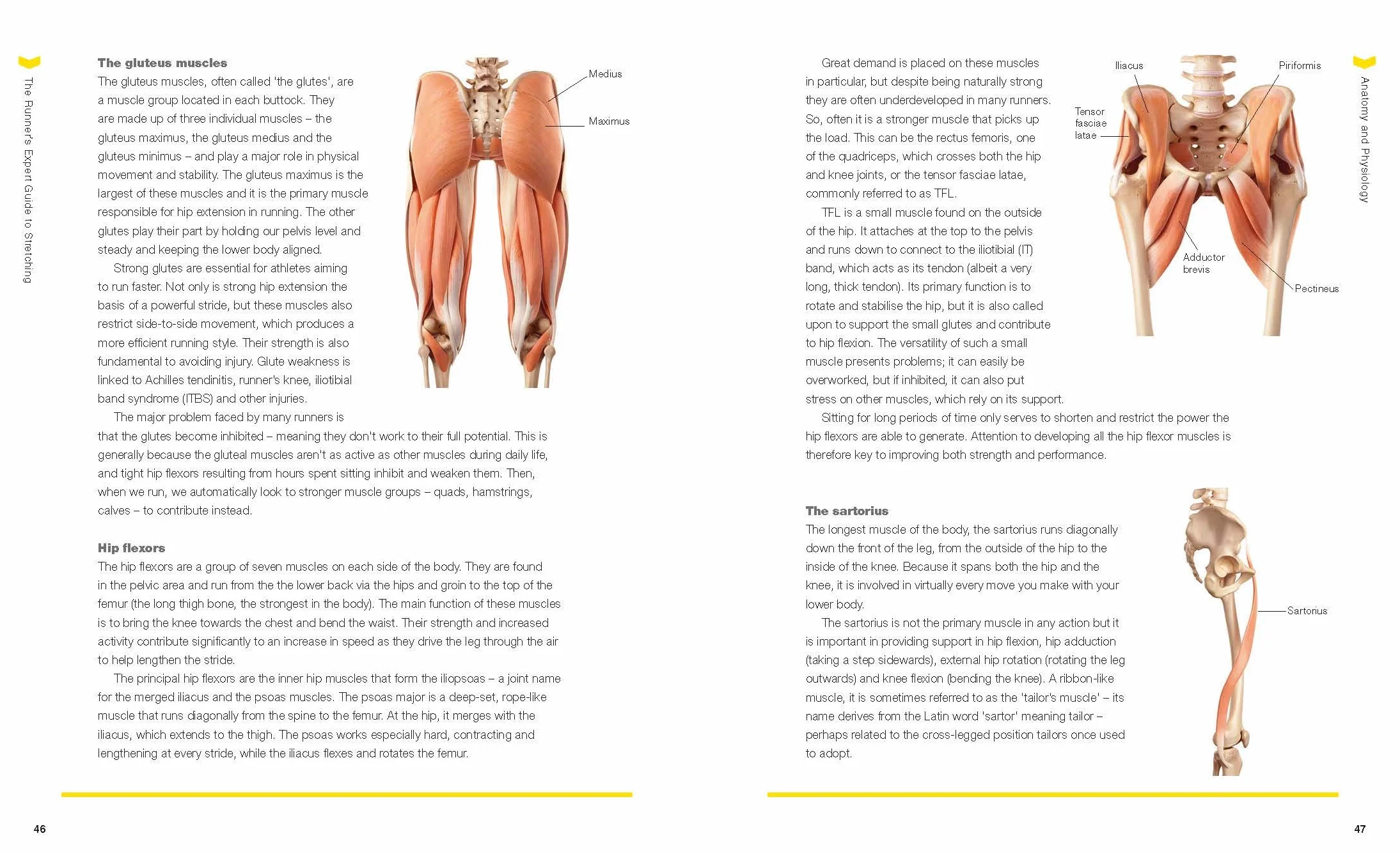 The Runner's Expert Guide to Stretching: Prevent Injury, Build Strength and Enhance Performance