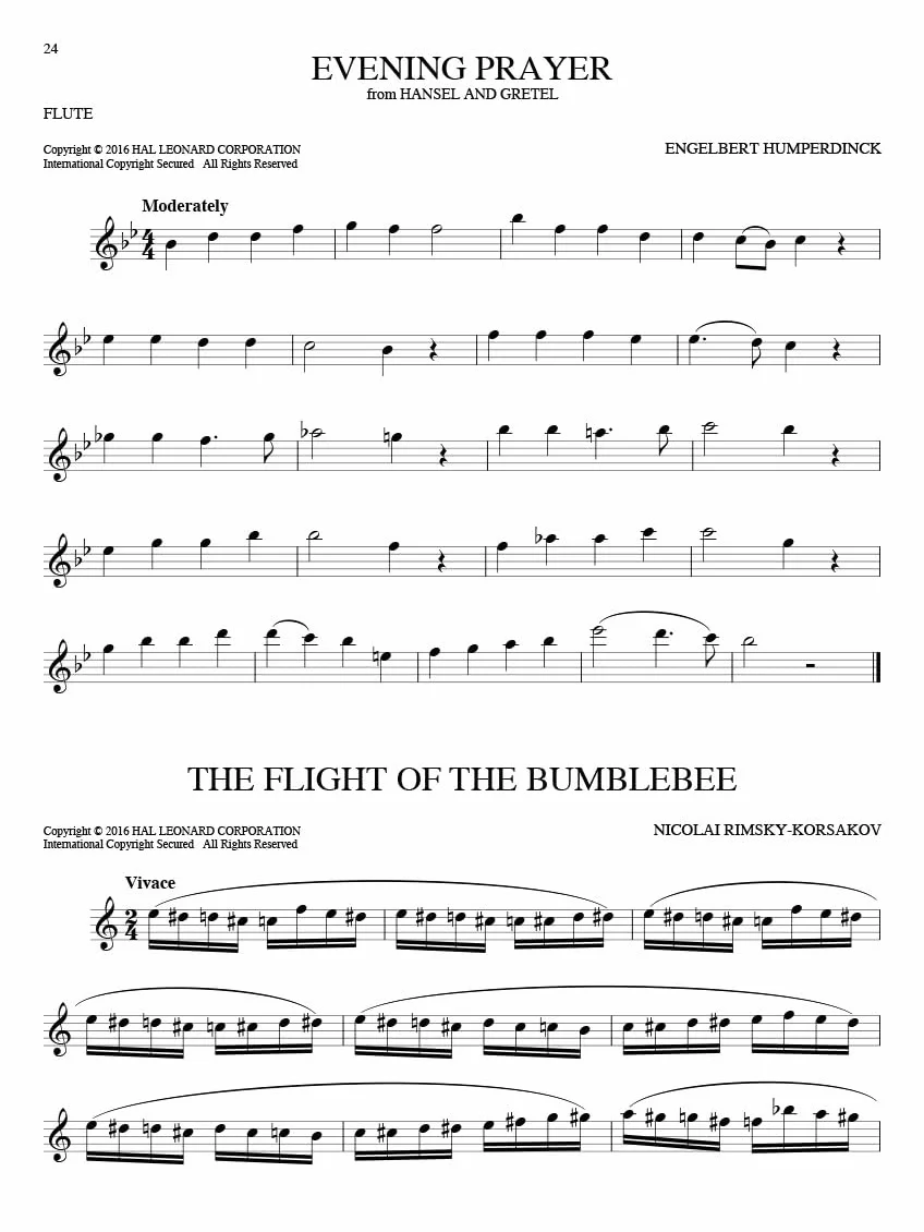 101 classical themes for flute flute traversiere