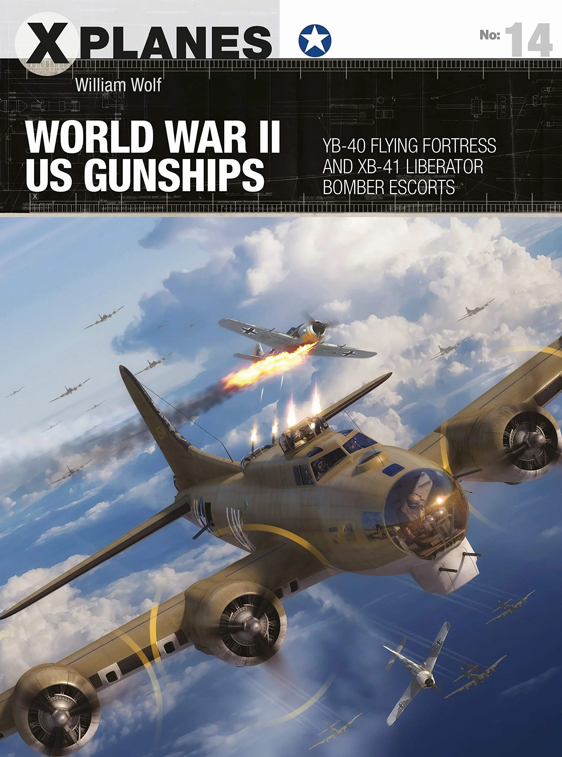 World War II US Gunships: YB-40 Flying Fortress and XB-41 Liberator Bomber Escorts: 14