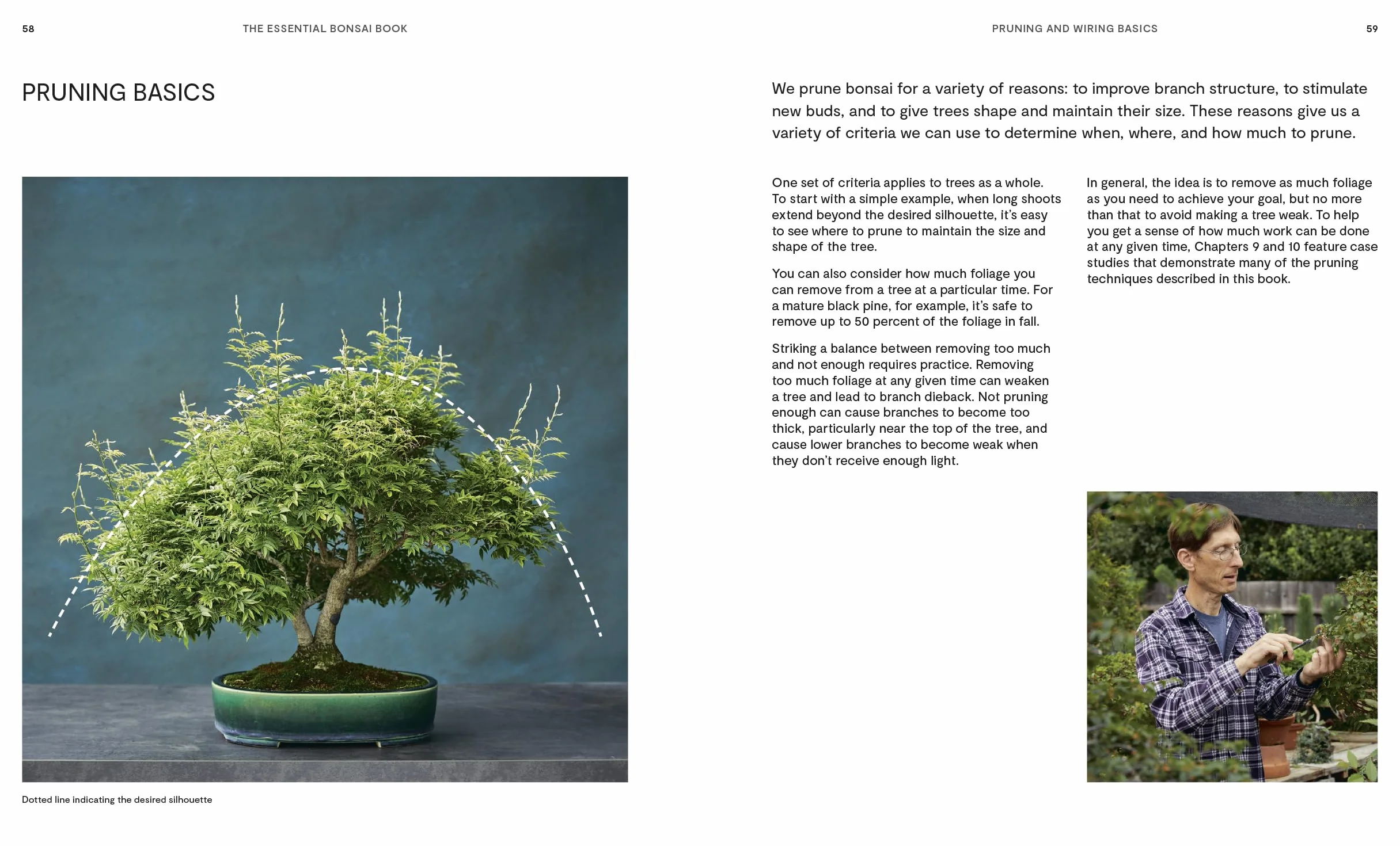 The Essential Bonsai Book: Techniques for Creating Beautiful Trees
