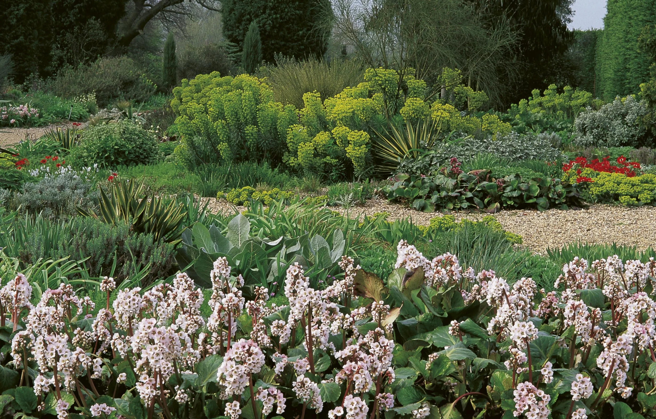 Drought-Resistant Planting /anglais: Lessons from Beth Chatto's Gravel Garden