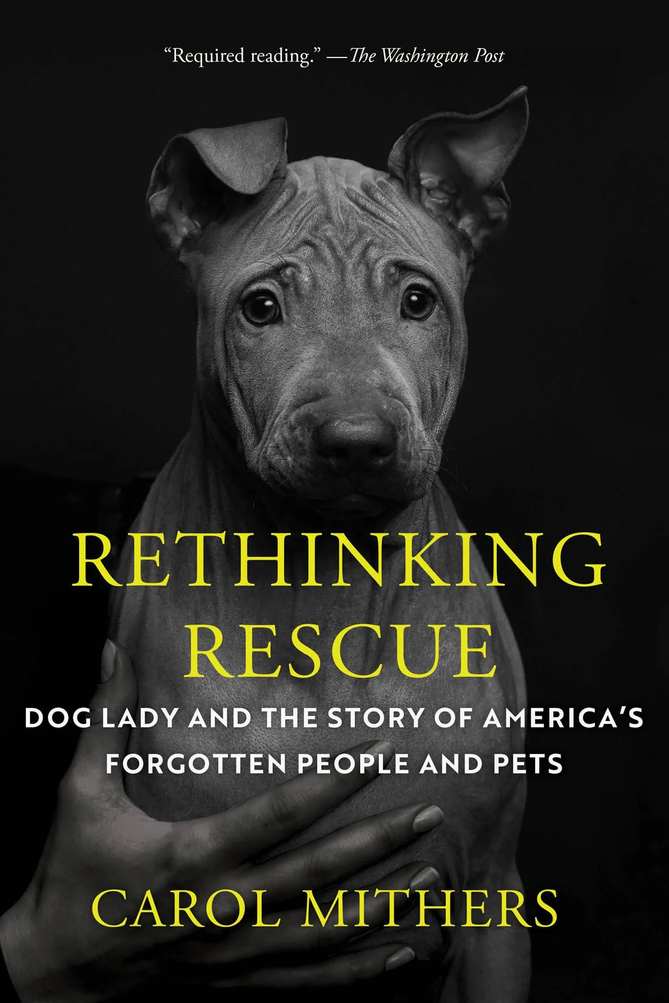 Rethinking Rescue: Dog Lady and the Story of America's Forgotten People and Pets