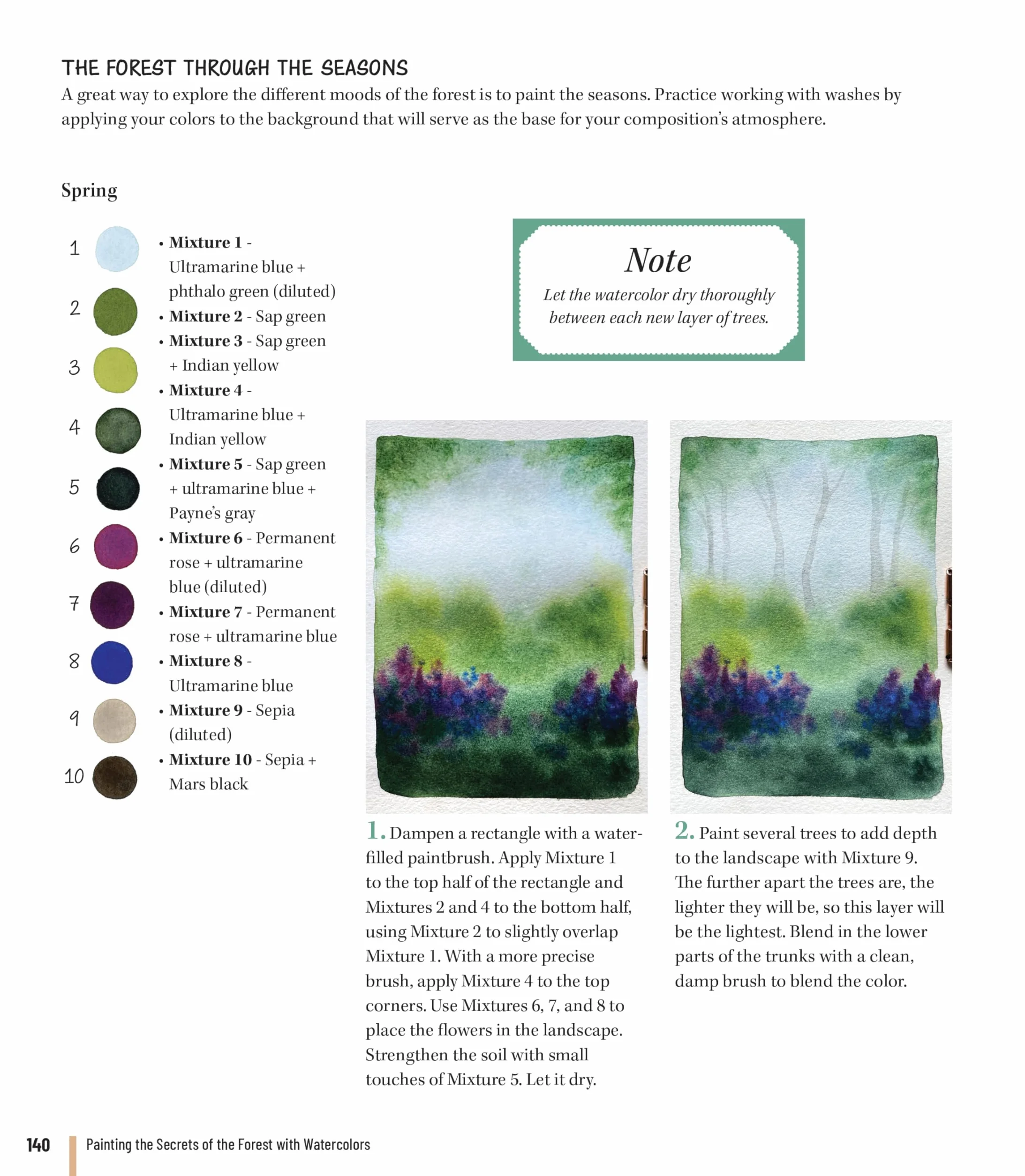 Painting the Secrets of the Forest with Watercolors