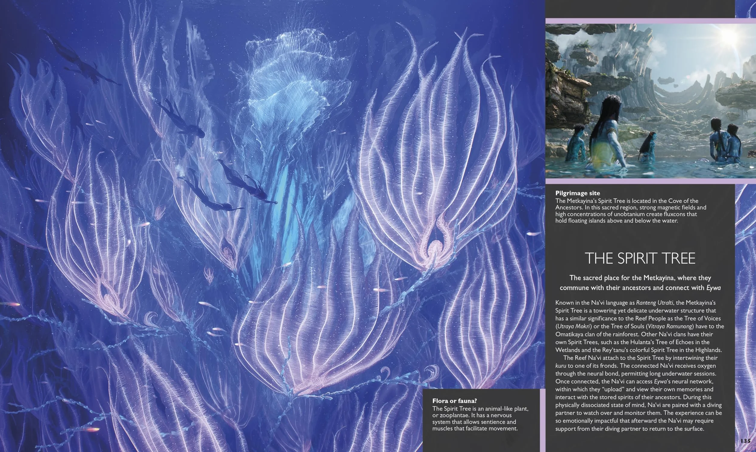 The World of Avatar Updated Edition
