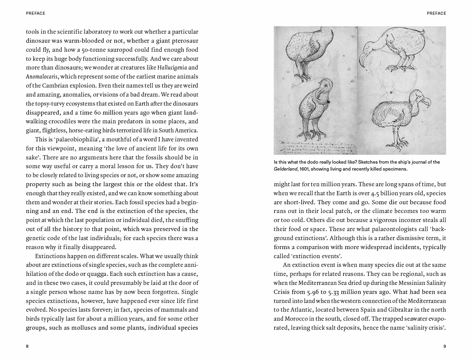 Extinctions : How Life Survives, Adapts and Evolves (paperback) /anglais
