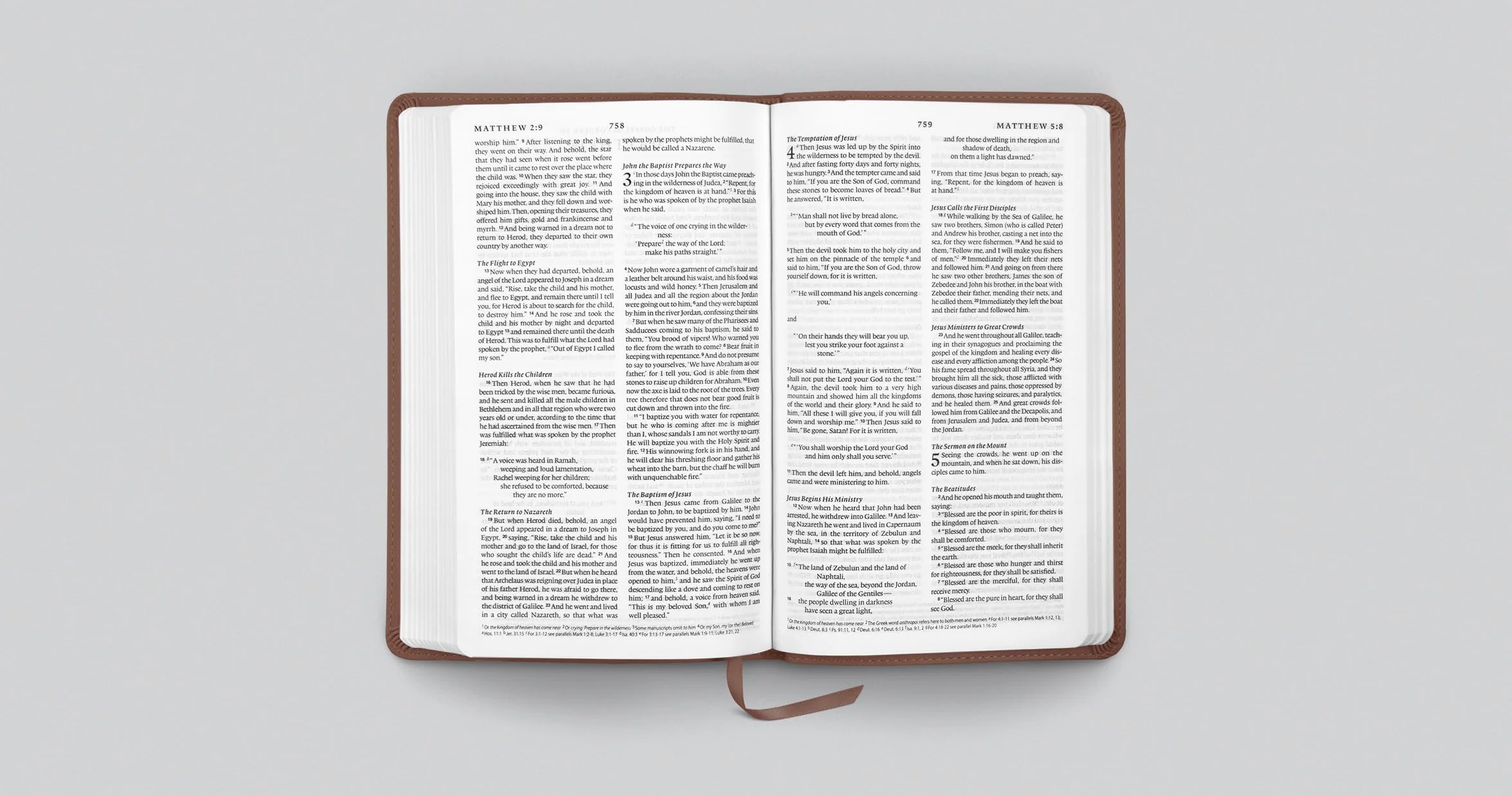 ESV Premium Church Bible (Trutone, Brown)
