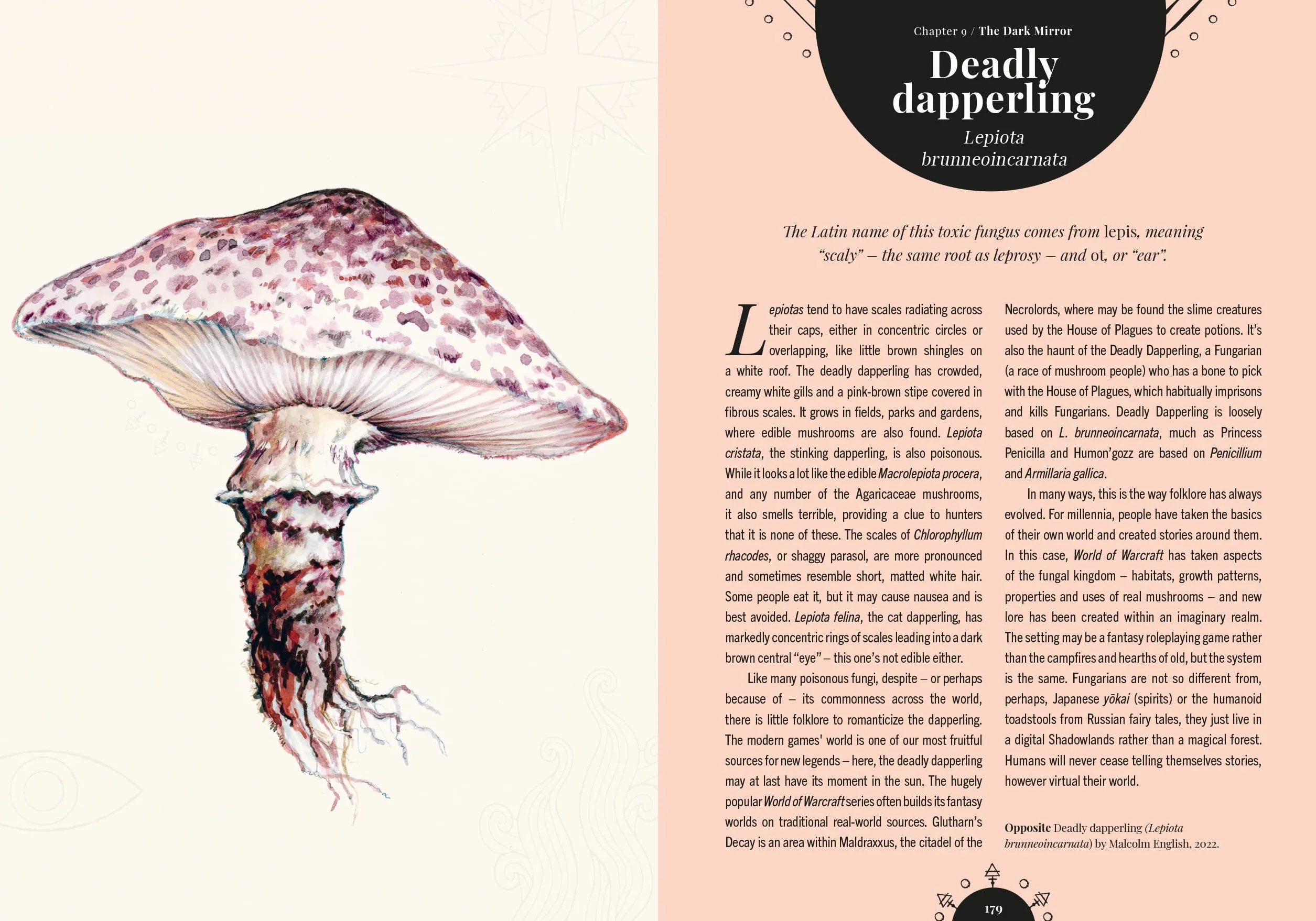 The Magic of Mushrooms: Fungi in Folklore, Superstition and Traditional Medicine