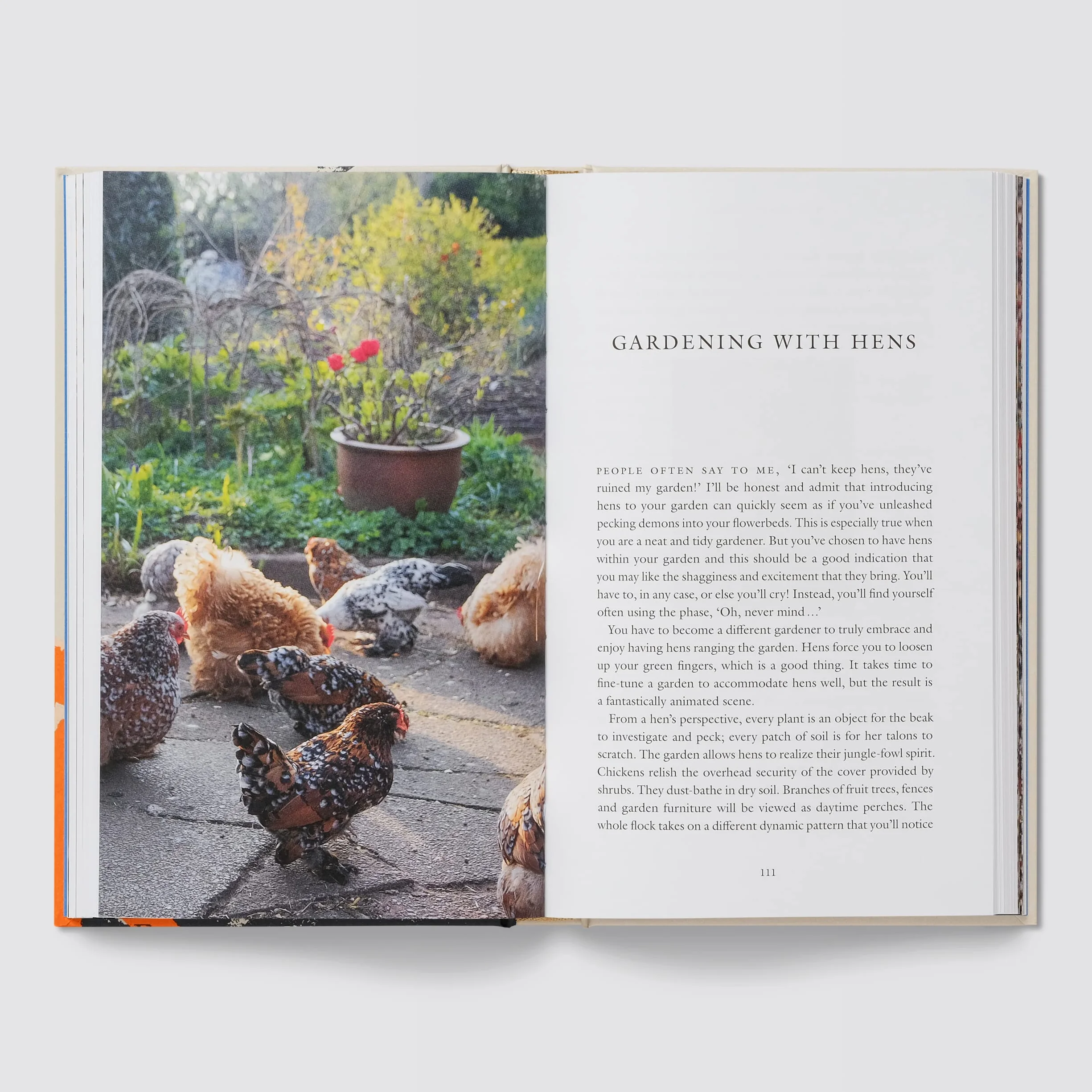 Chicken Boy: My Life With Hens
