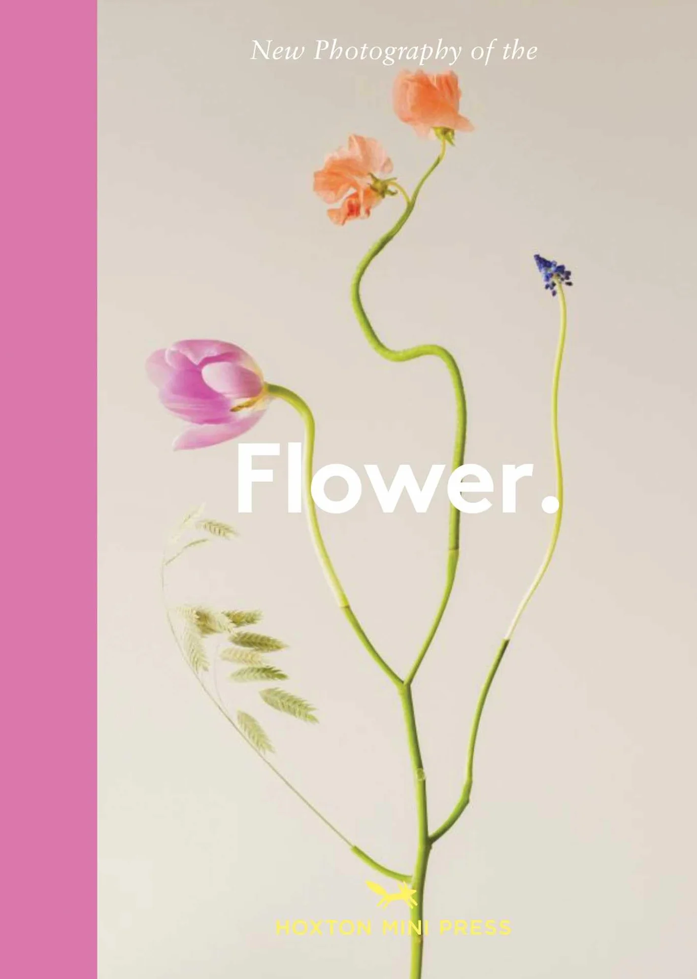 New Photography of the Flower.
