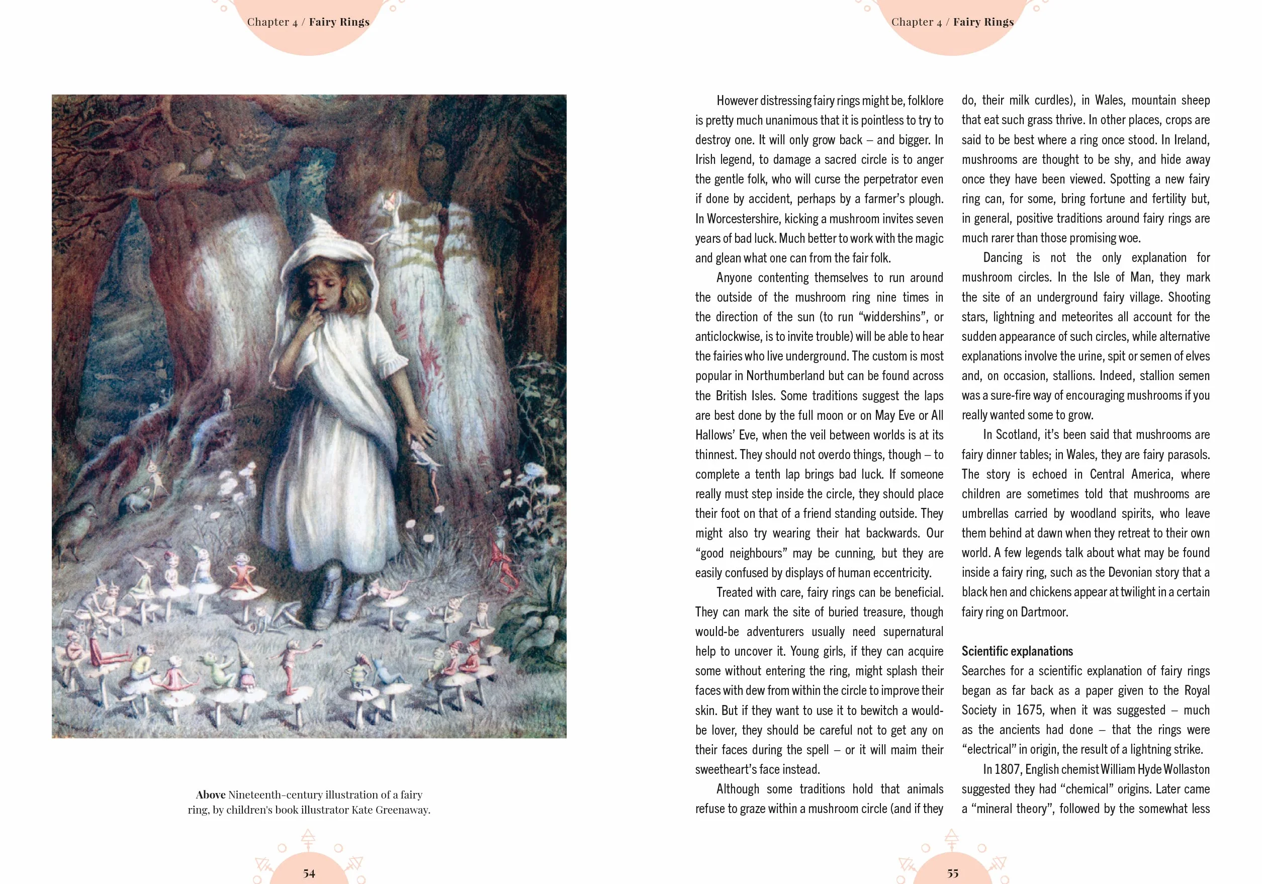 The Magic of Mushrooms: Fungi in Folklore, Superstition and Traditional Medicine