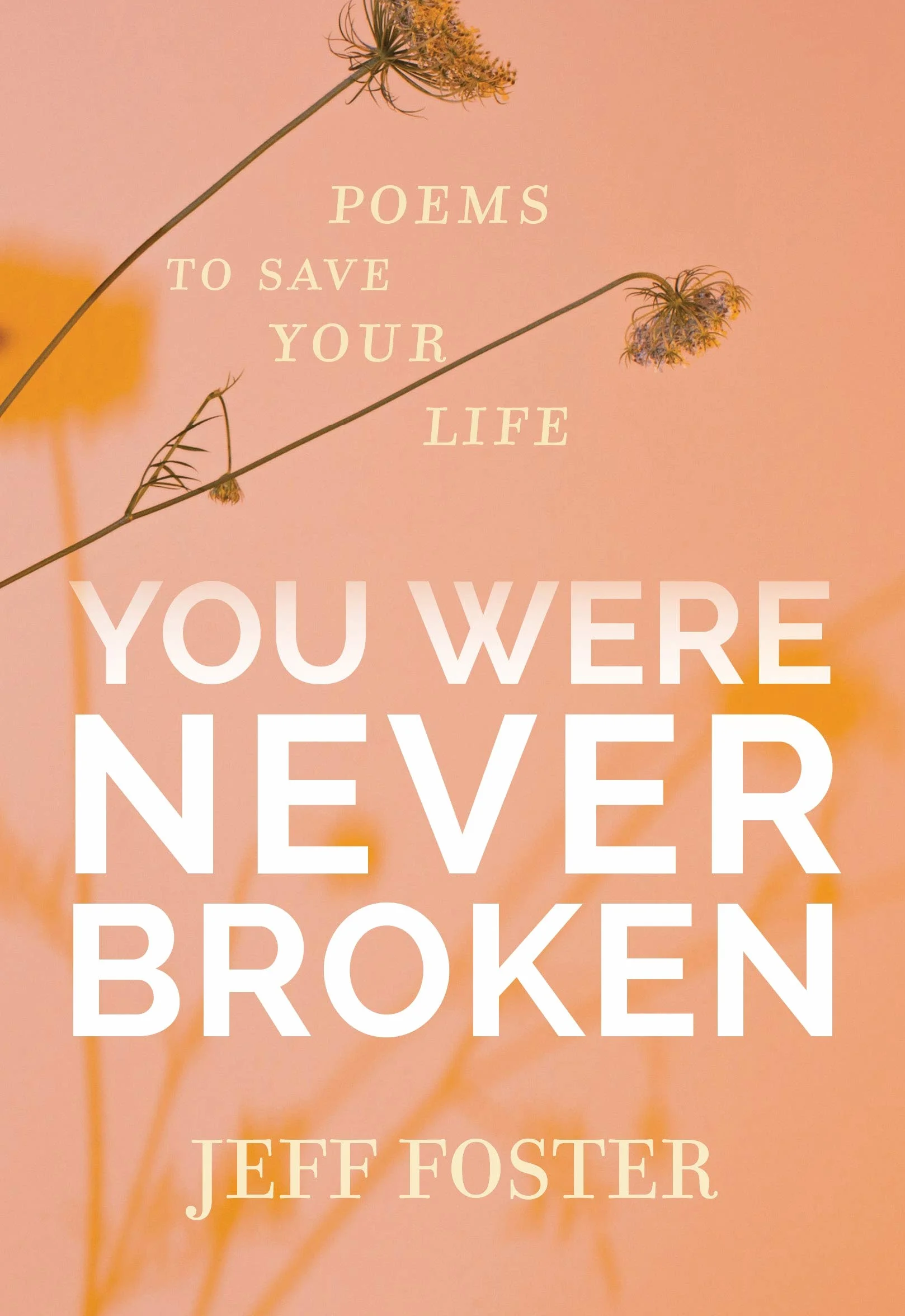 You Were Never Broken: Poems to Save Your Life
