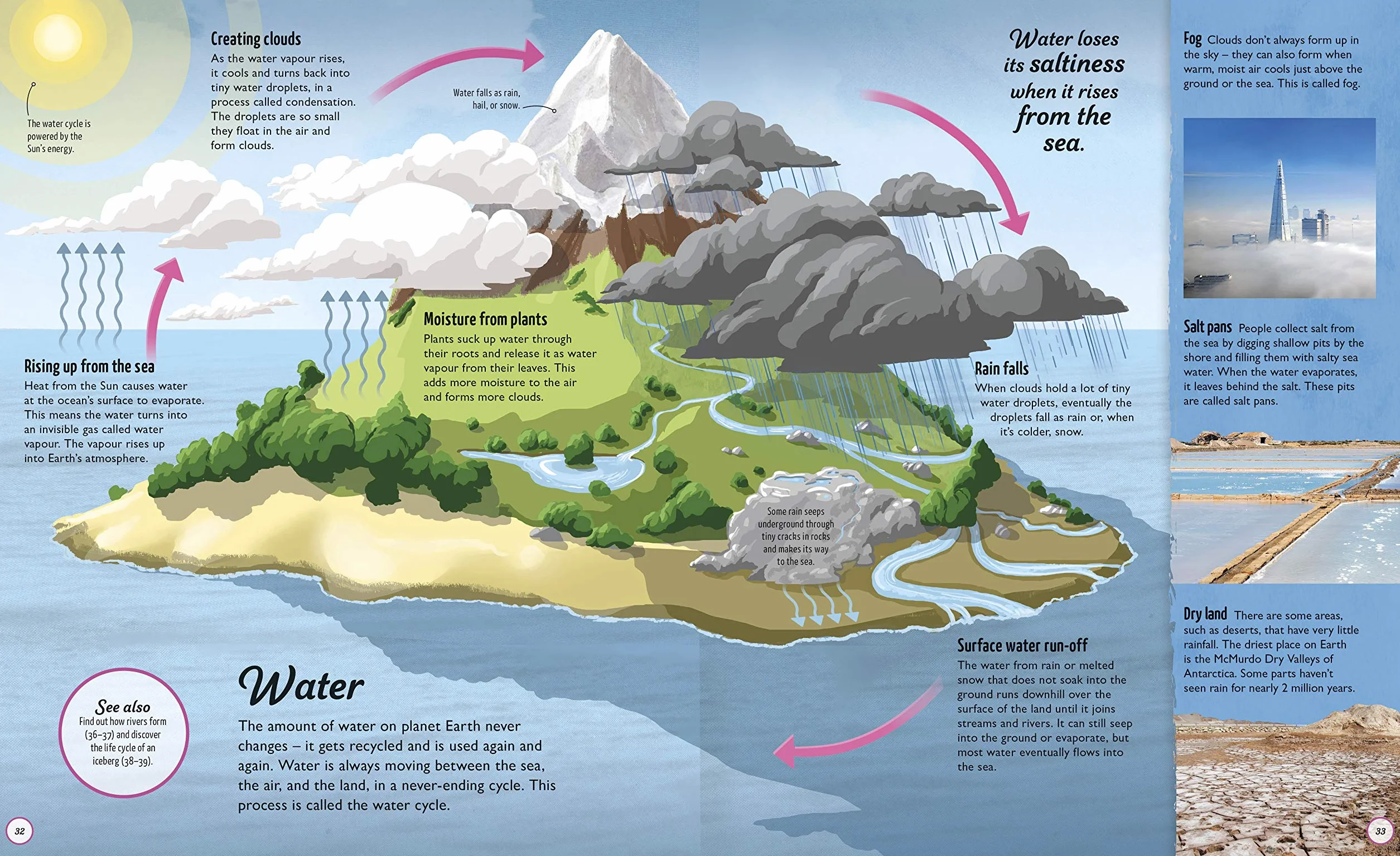Life Cycles: Everything from Start to Finish (DK Life Cycles)