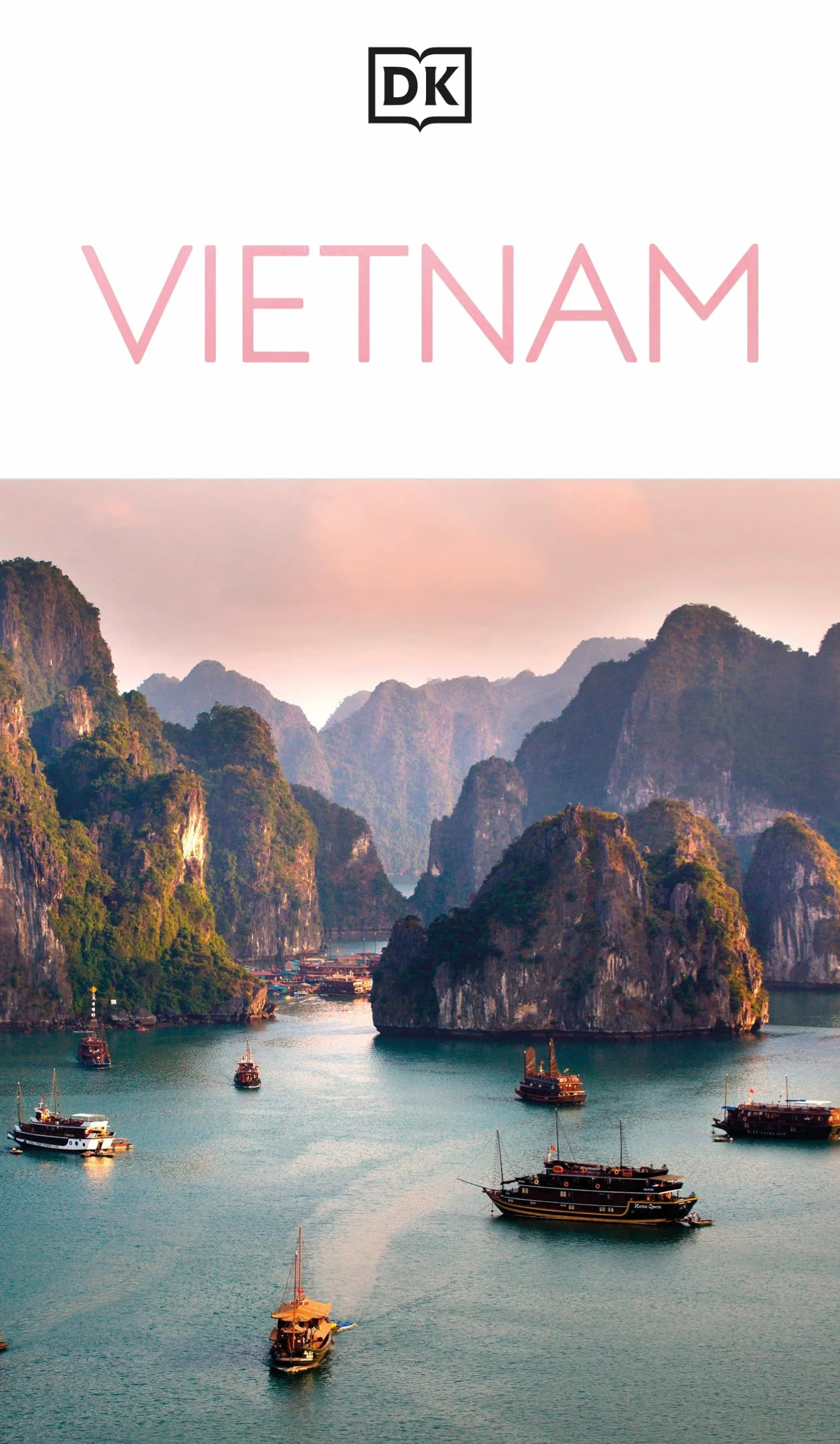 DK Vietnam: Must-See Sights. Culture & History. Detailed Maps & Tours. Covers Hanoi, Ho Chi Minh, Mekong Delta,