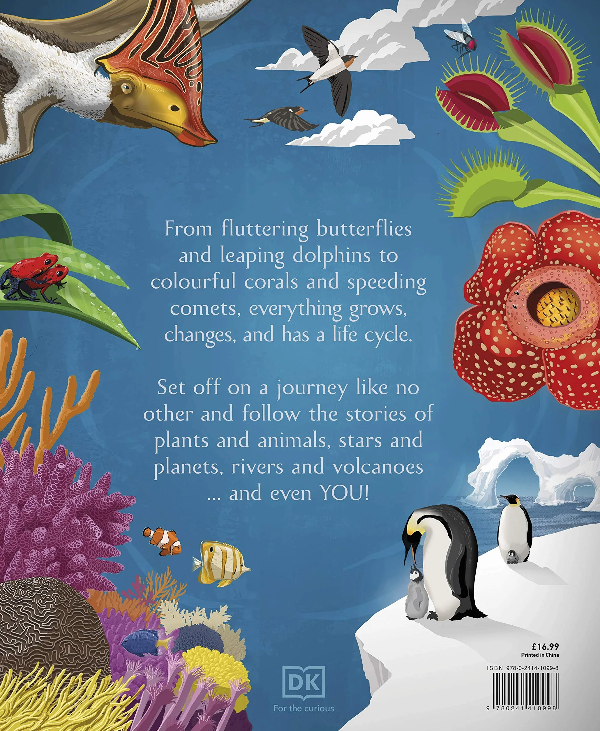 Life Cycles: Everything from Start to Finish (DK Life Cycles)