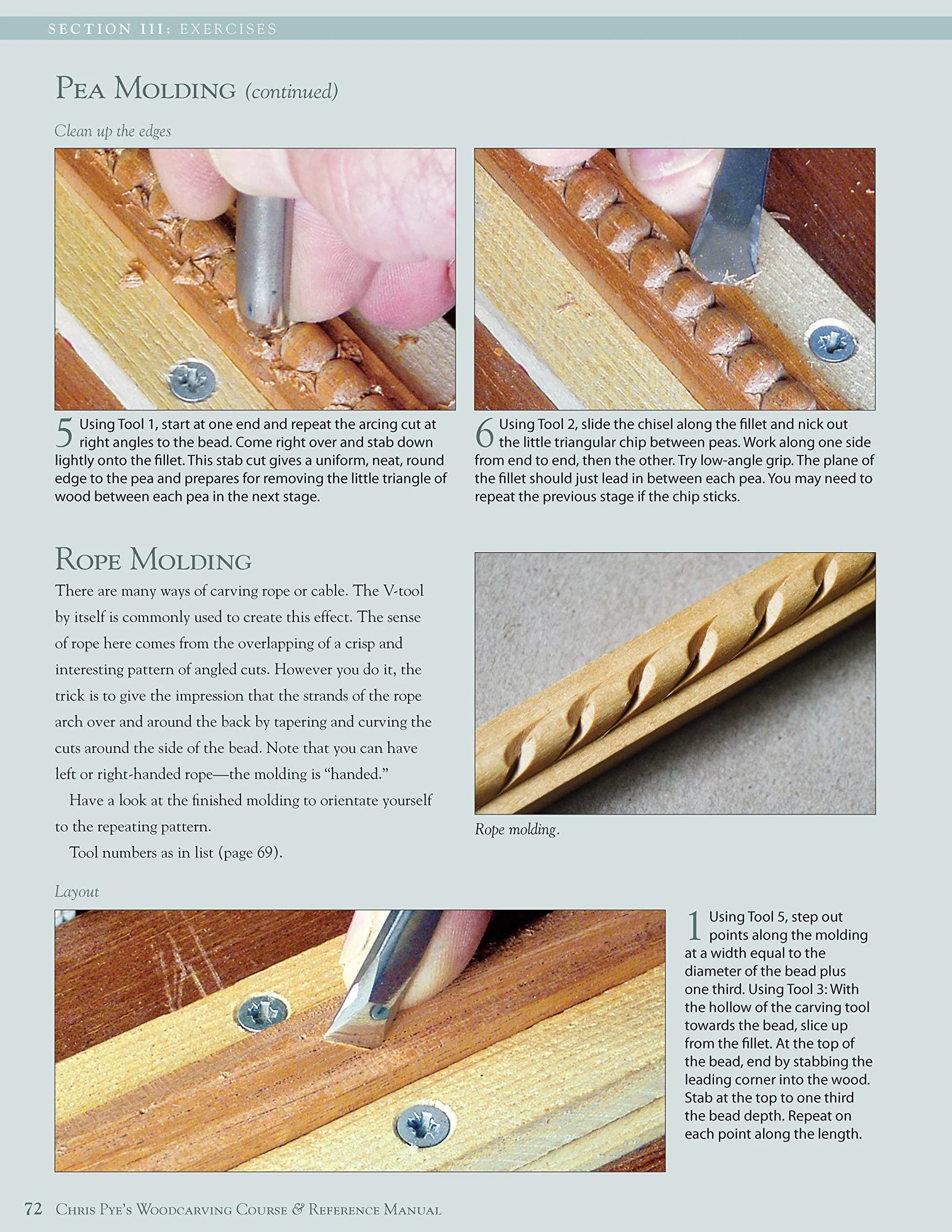 Chris Pye's Woodcarving Course & Reference Manual: A Beginner's Guide to Traditional Techniques