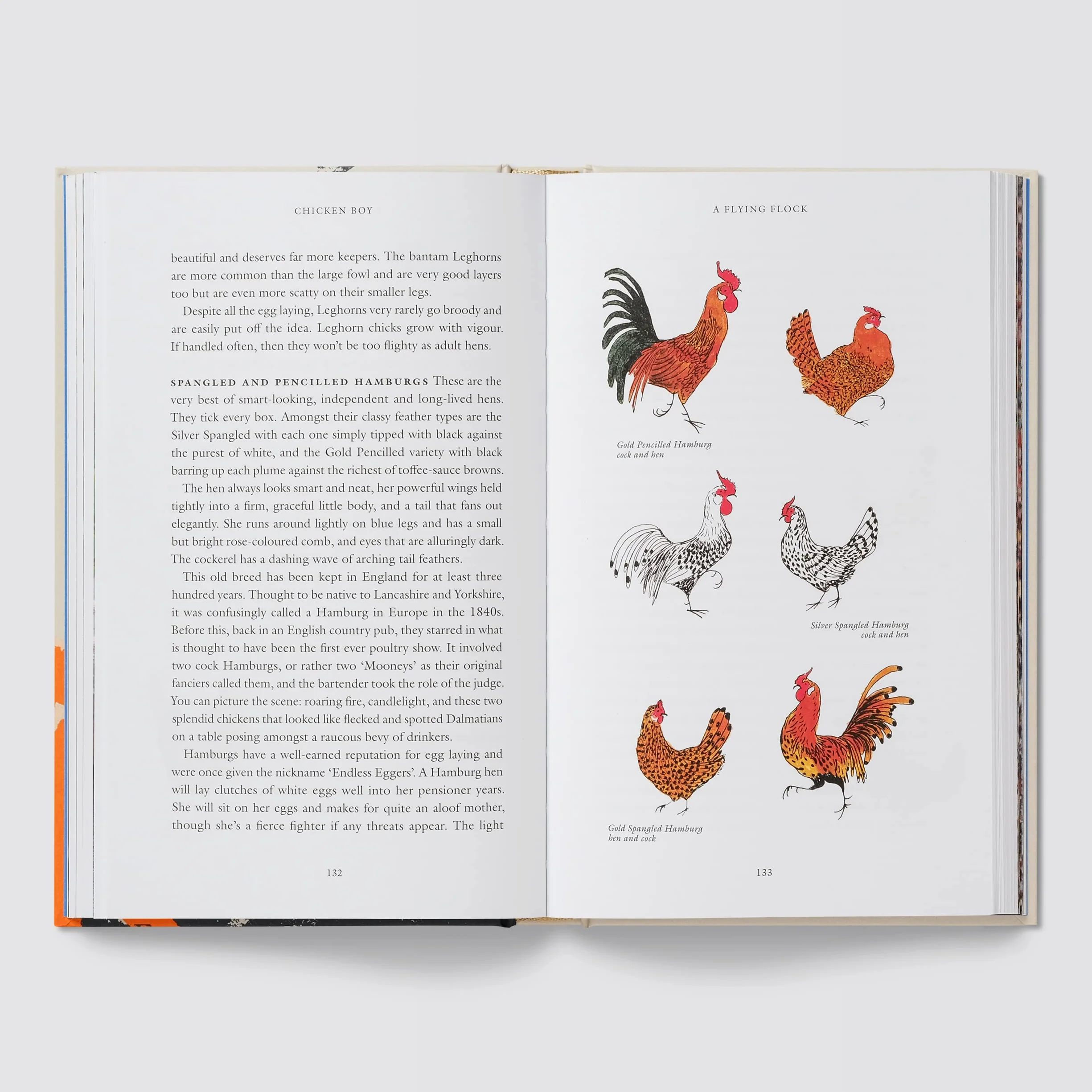 Chicken Boy: My Life With Hens