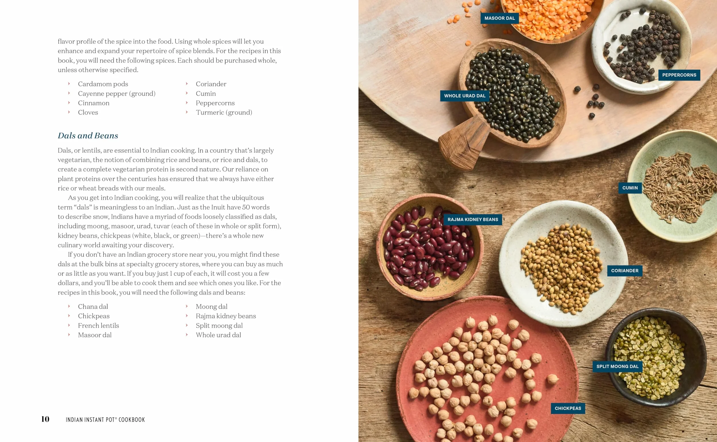 Indian Instant Pot(r) Cookbook: Traditional Indian Dishes Made Easy and Fast