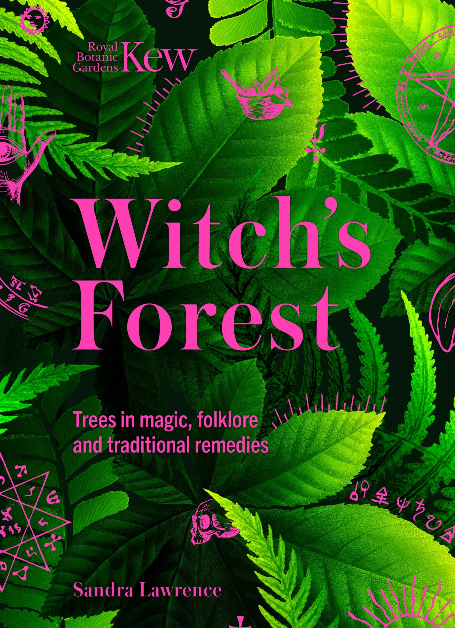 Witch's Forest: Trees in Magic, Folklore and Traditional Remedies