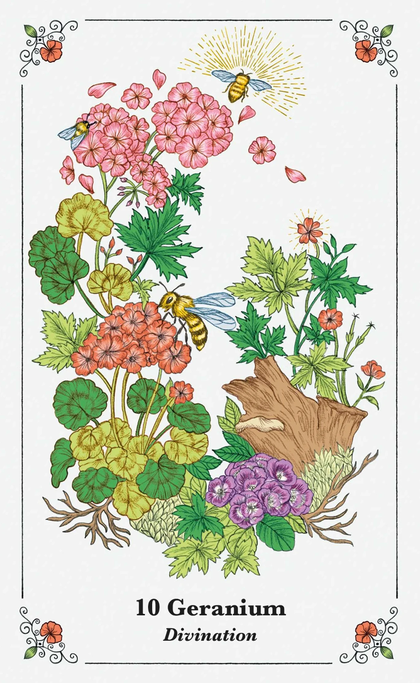 Spirits in Flowers Oracle Deck: Includes 52 cards and a 128-page illustrated book