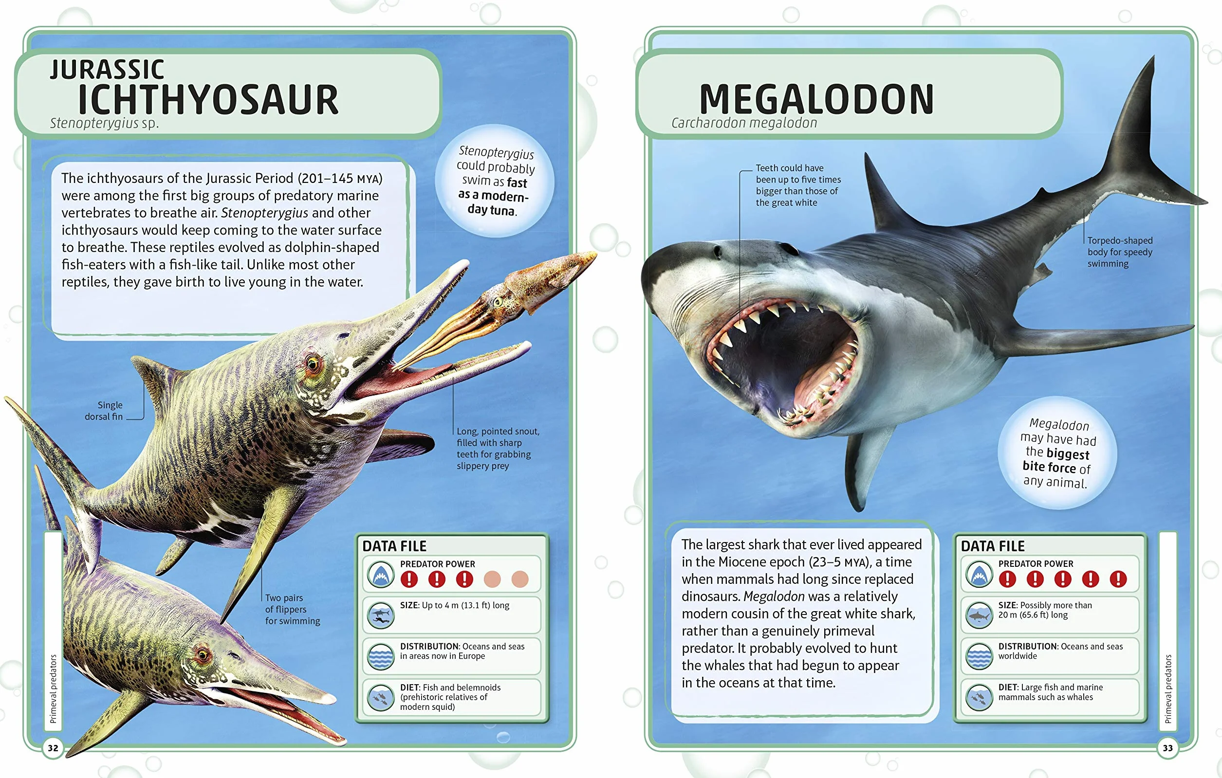 Sharks and Other Deadly Ocean Creatures: Visual Encyclopedia