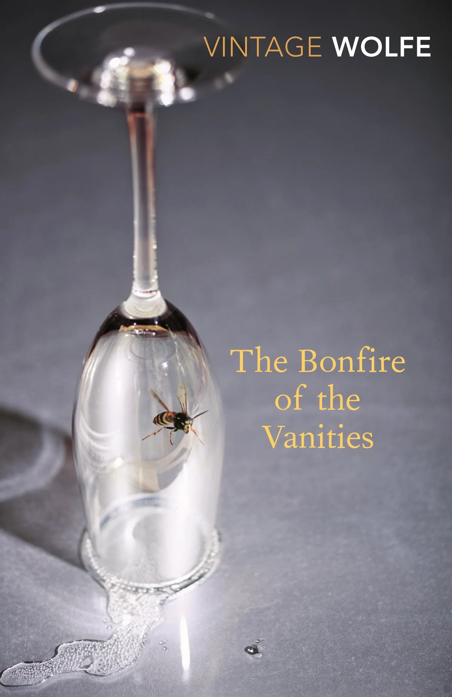 The Bonfire of the Vanities: Tom Wolfe