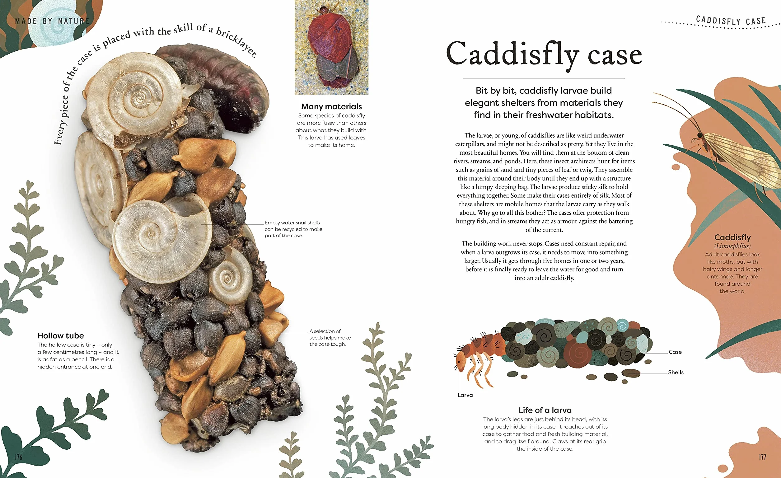 Nature's Treasures: Tales Of More Than 100 Extraordinary Objects From Nature (DK Treasures)