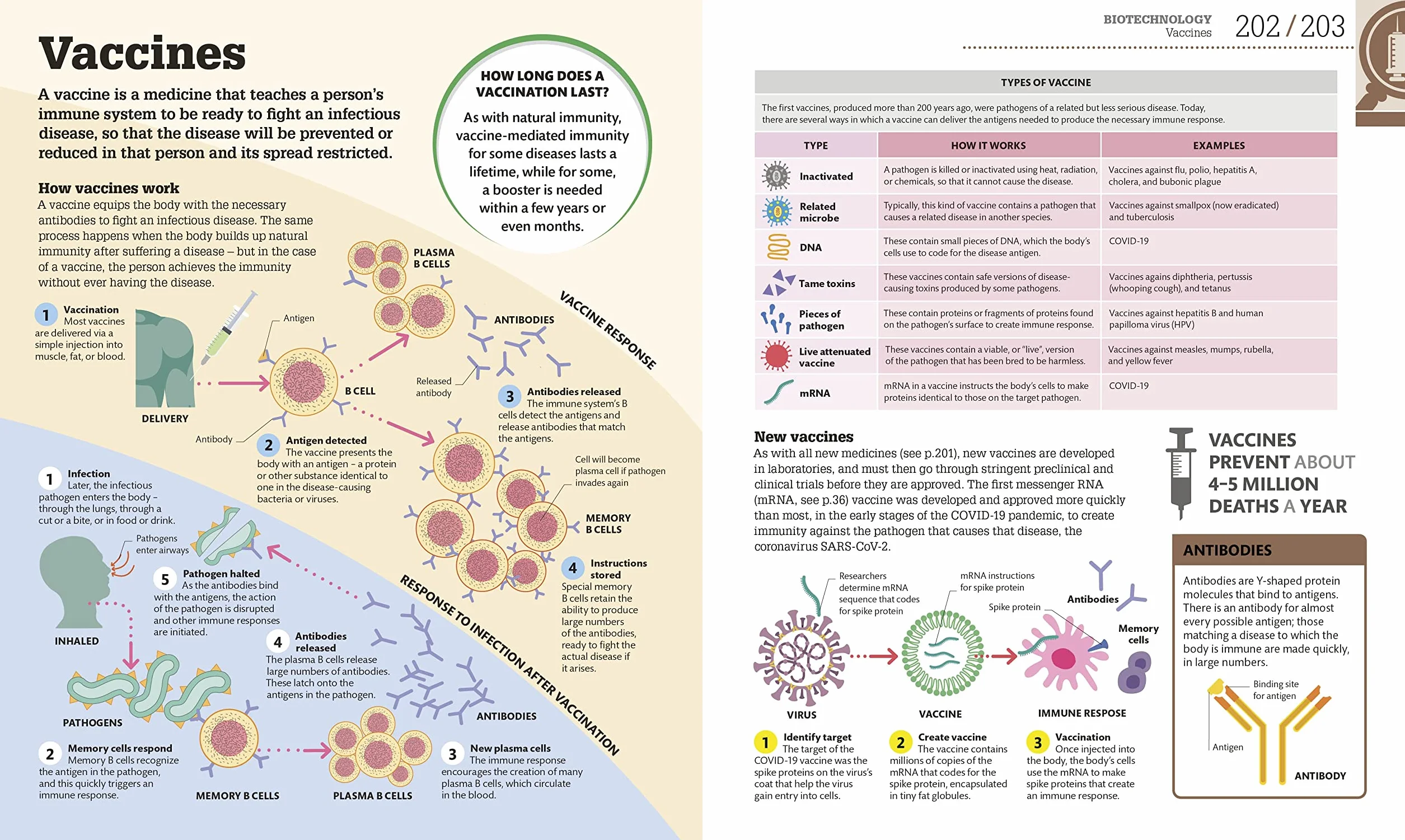 How Biology Works: The Facts Visually Explained