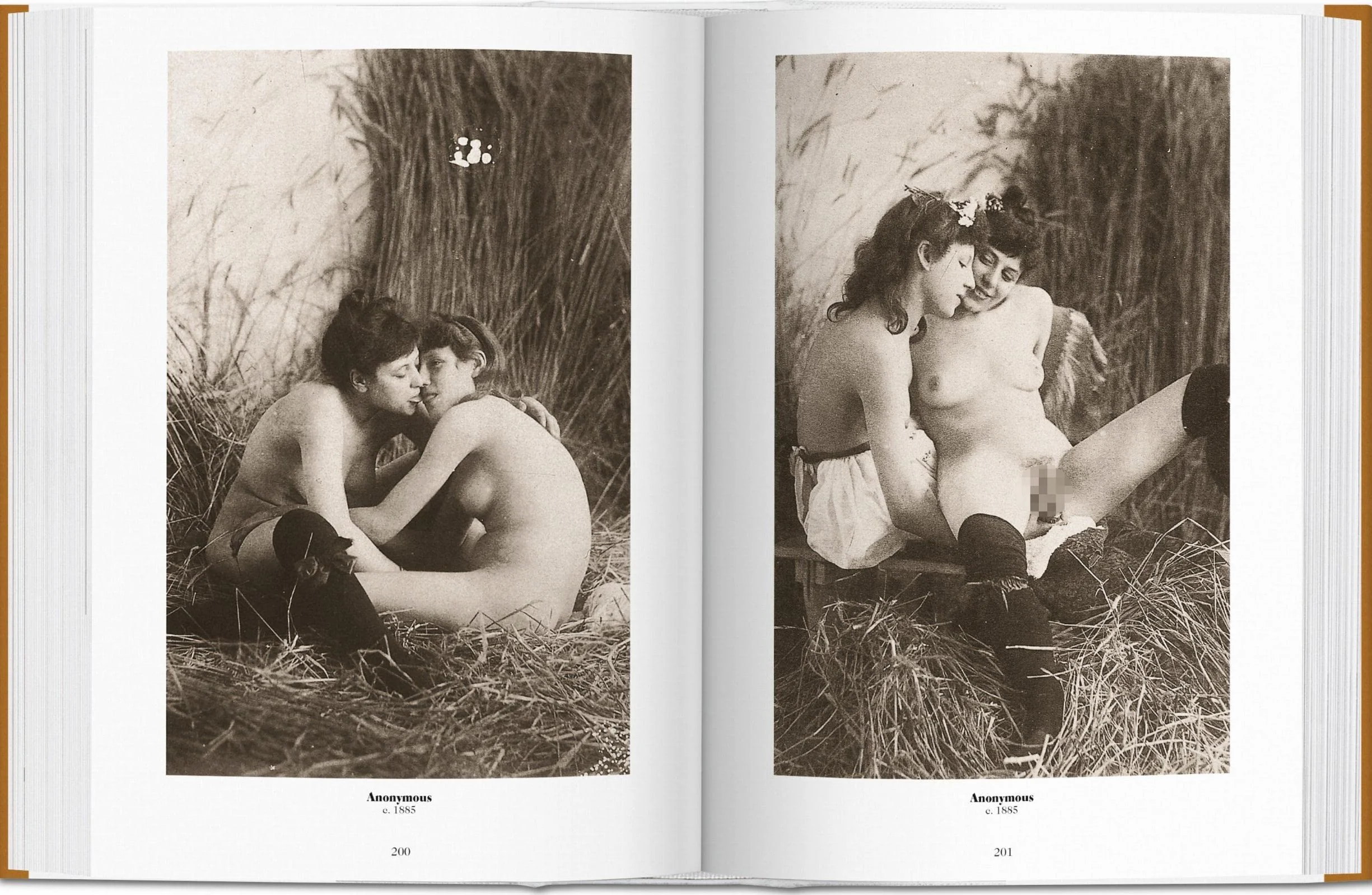 BU-1000 Nudes. A History of Erotic Photography from 1839-1939