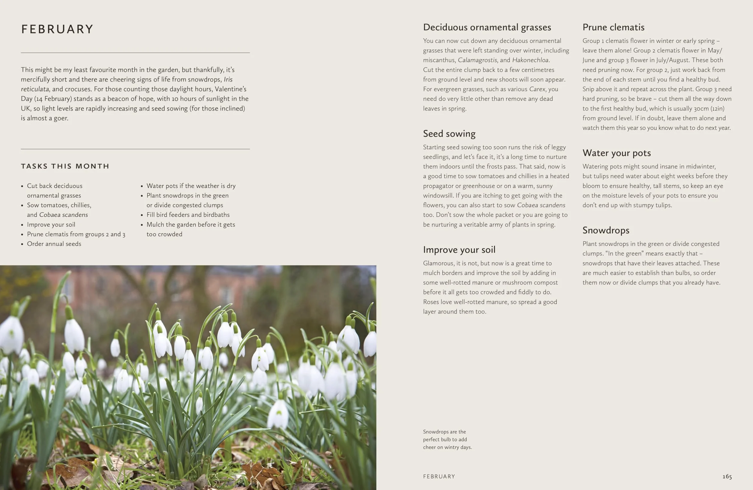 How to Design a Garden: Create and Maintain Your Dream Garden