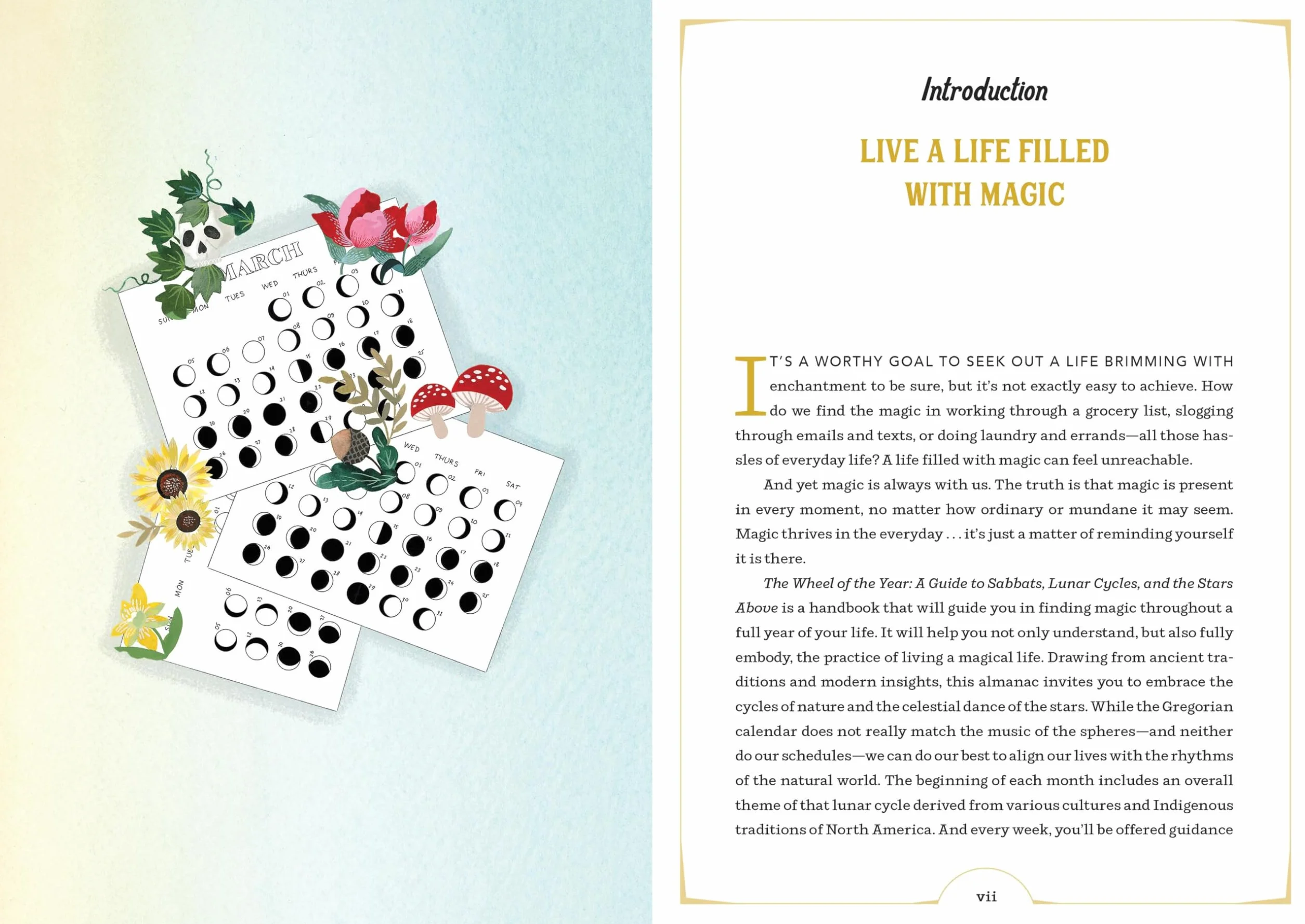 The Wheel of the Year: A Guide to Sabbats, Lunar Cycles, and the Stars Above