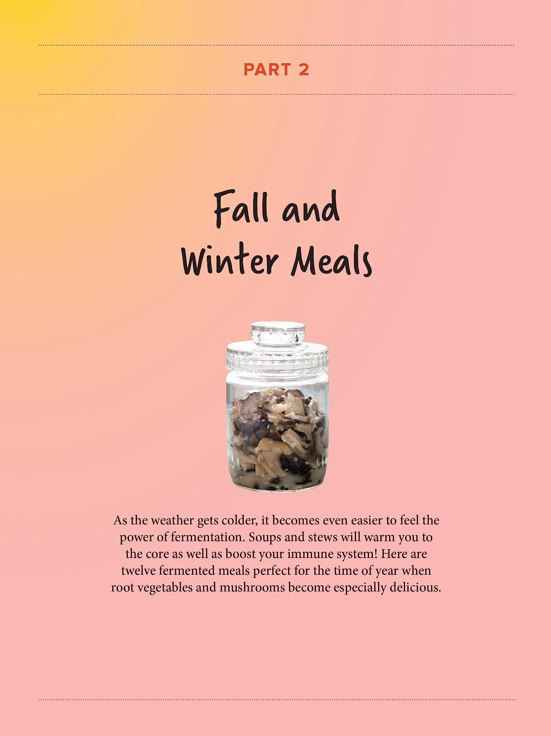 A Beginner's Guide to Japanese Fermentation: Healthy Home-Style Recipes Using Shio Koji, Amazake, Brown Rice Miso, Nukazuke Pickles & Much More!