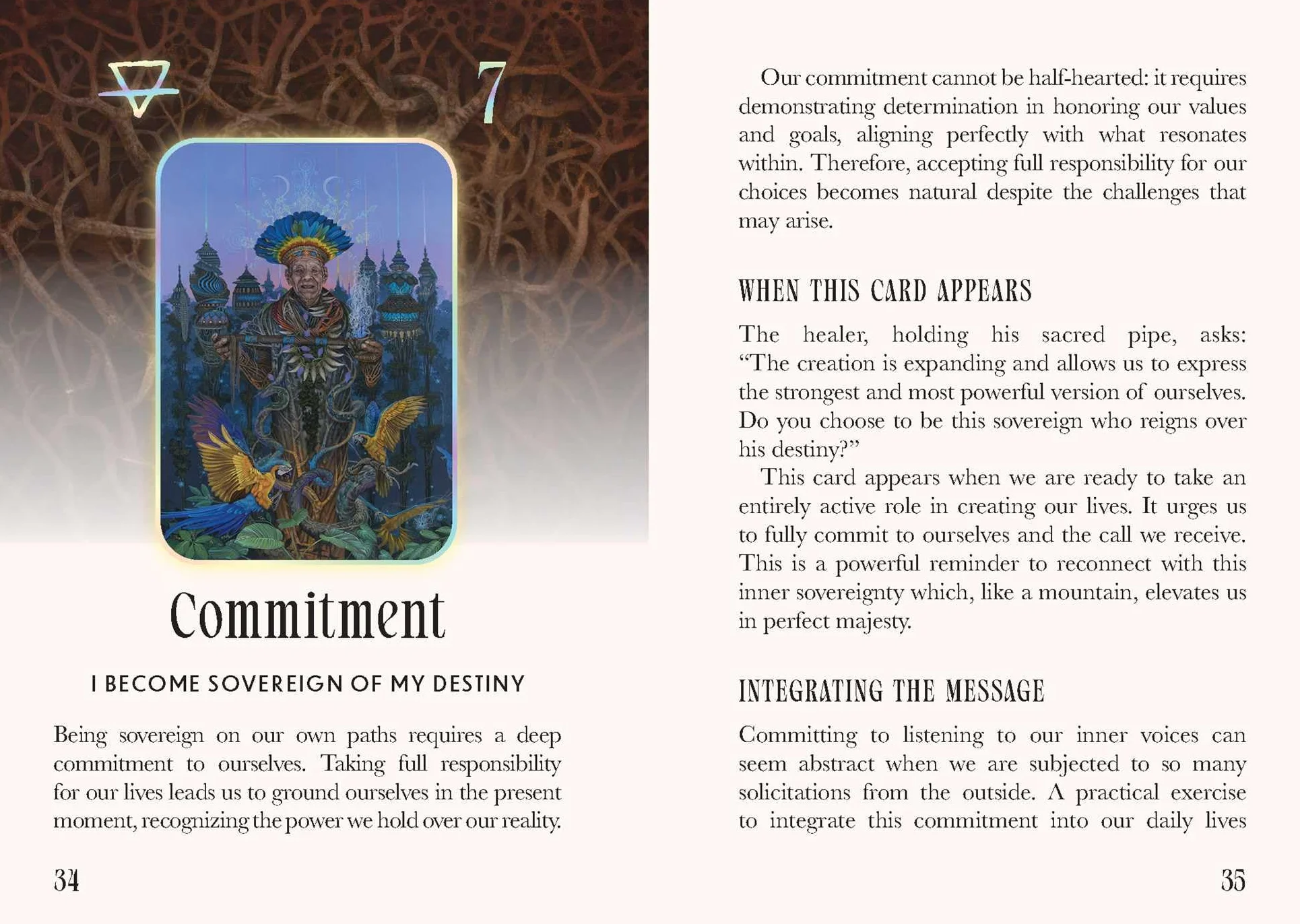 Shamanic Oracle: Connect to the medicine of the earth