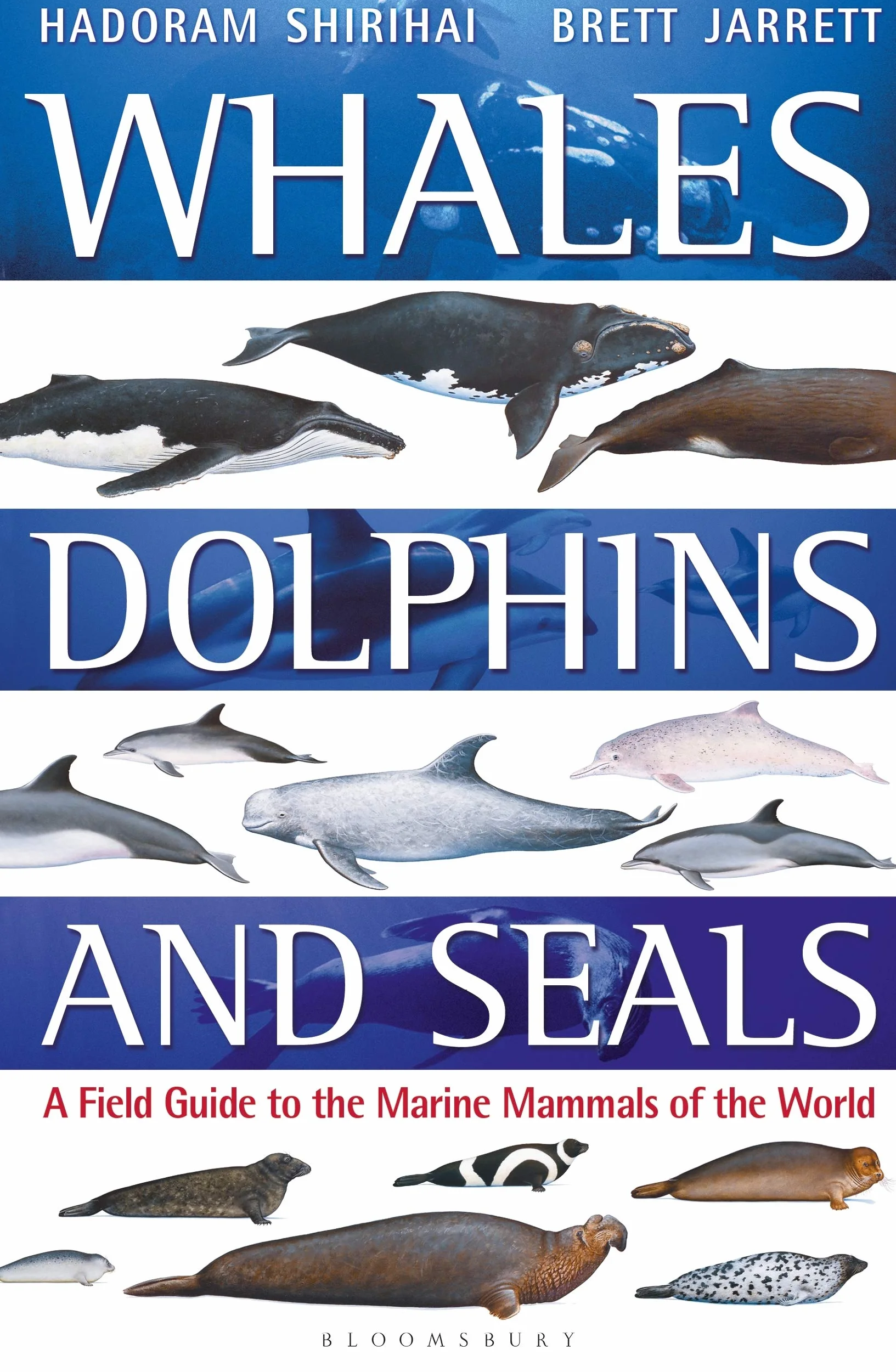 Whales, Dolphins and Seals: A field guide to the marine mammals of the world