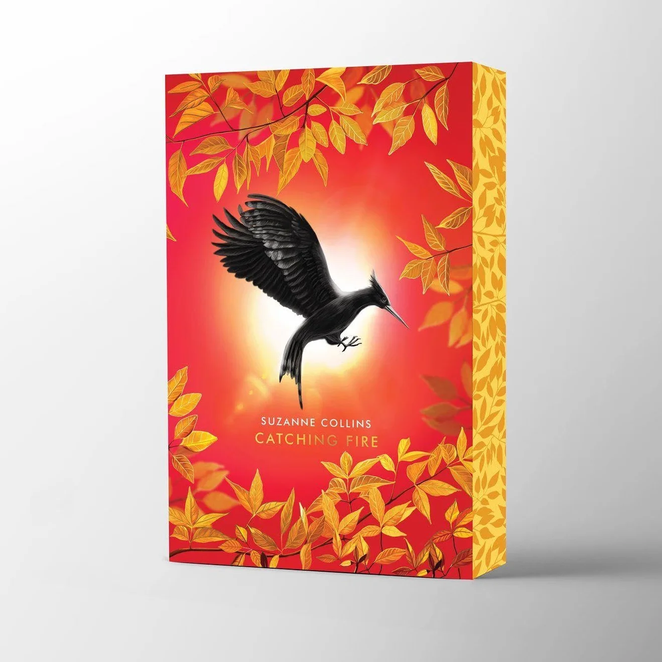 Catching Fire Deluxe: Deluxe Edition: 2