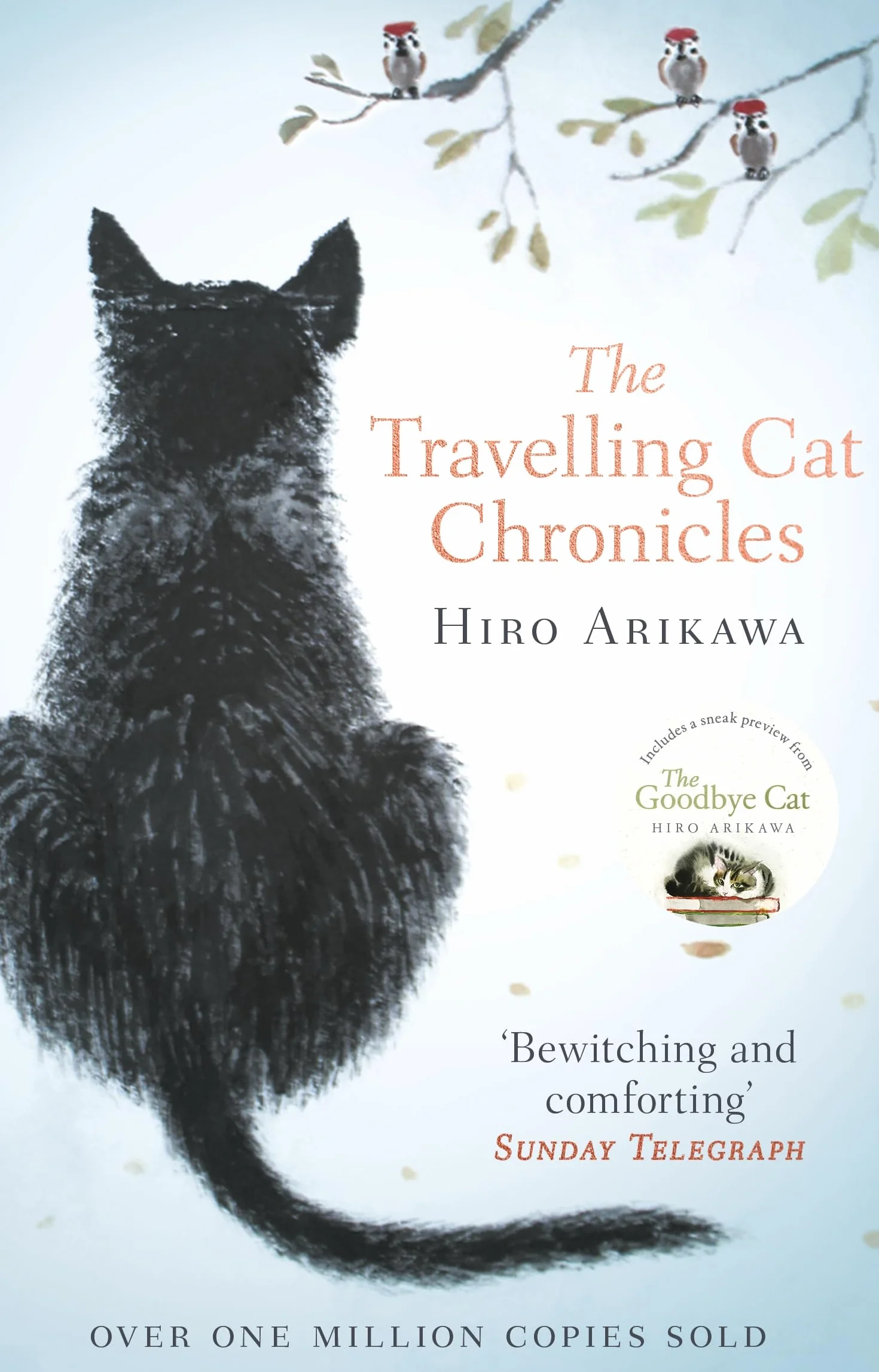 The Travelling Cat Chronicles: The uplifting million-copy bestselling Japanese translated story