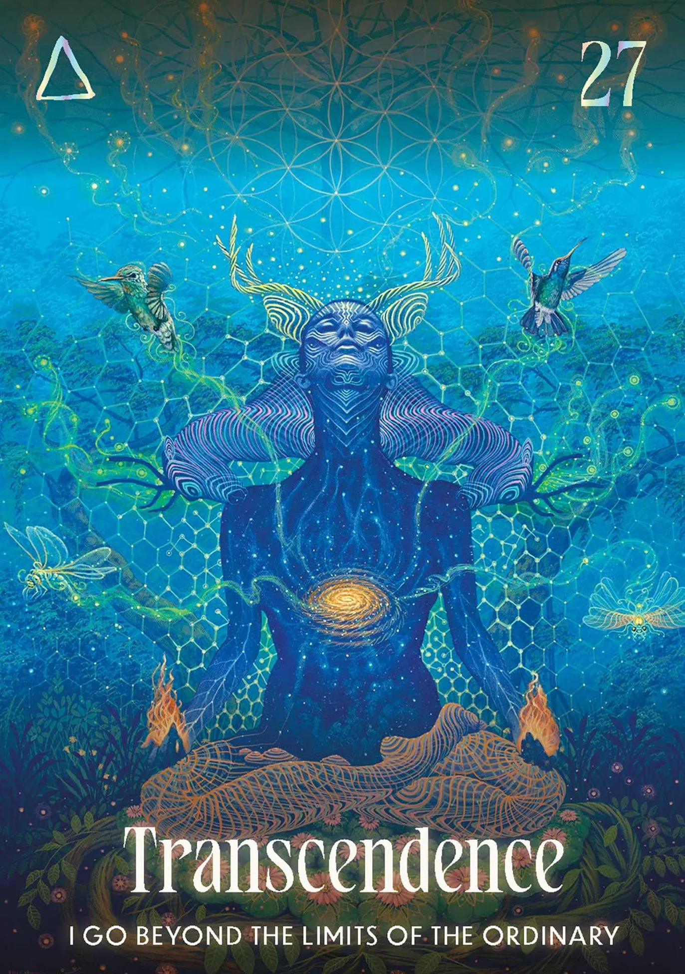 Shamanic Oracle: Connect to the medicine of the earth